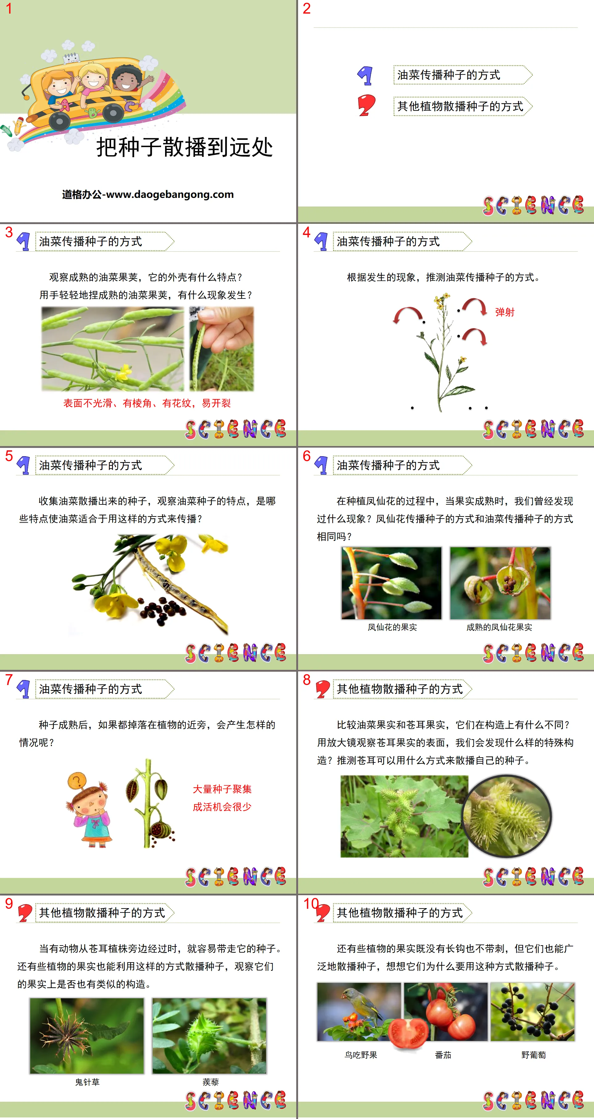 《把种子散播到远处》新的生命PPT
