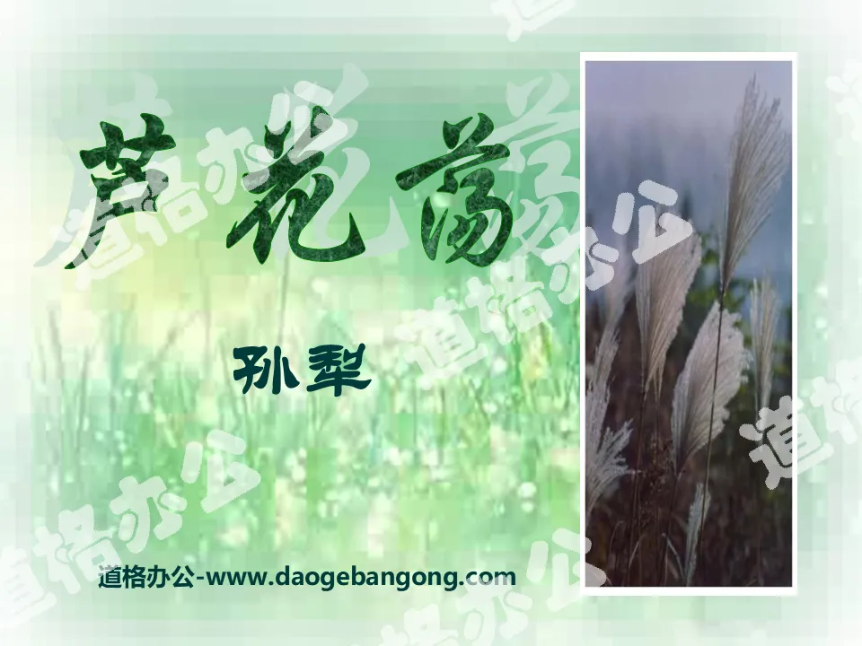 《芦花荡》PPT课件4
