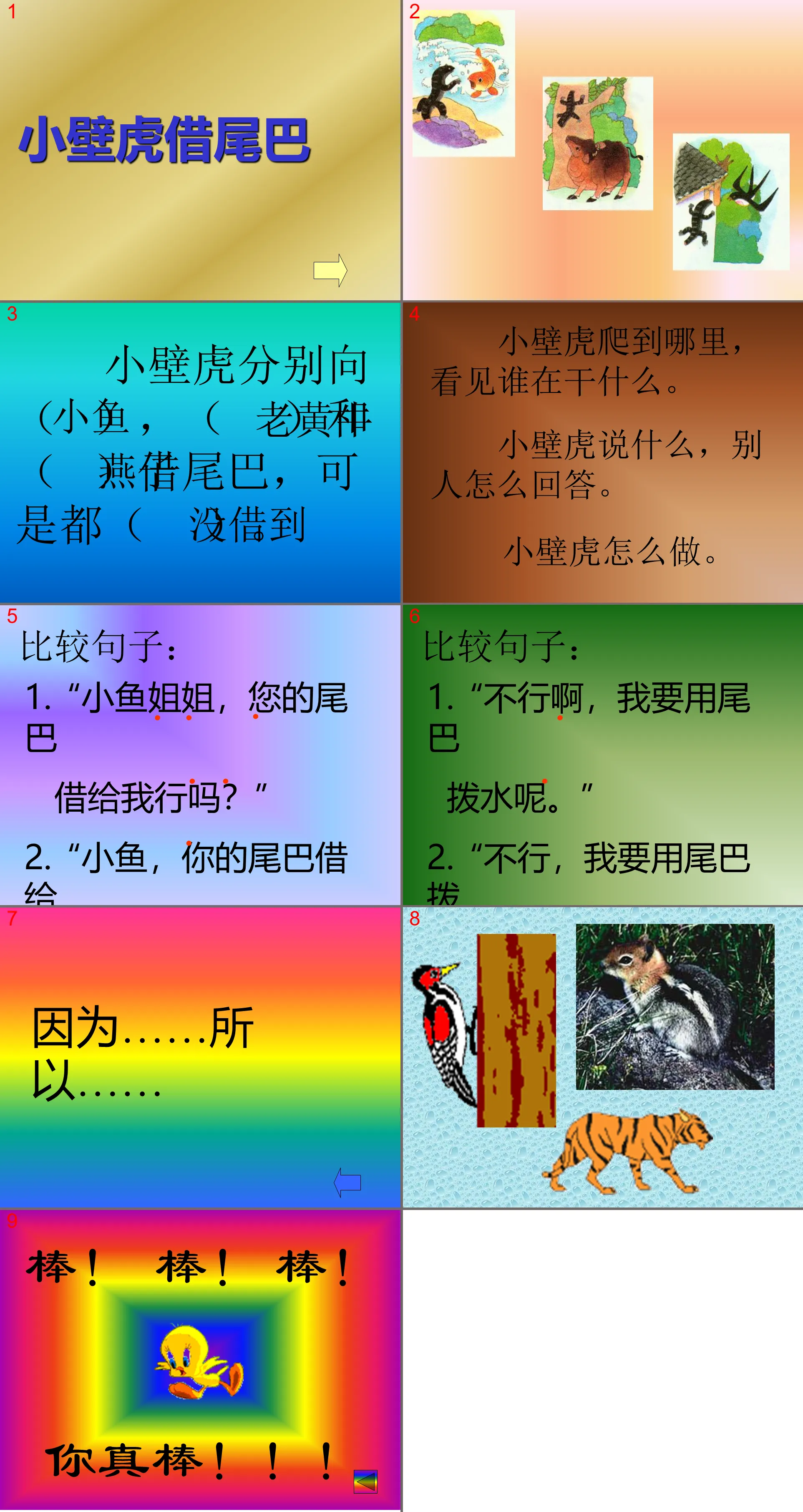 《小壁虎借尾巴》PPT课件3