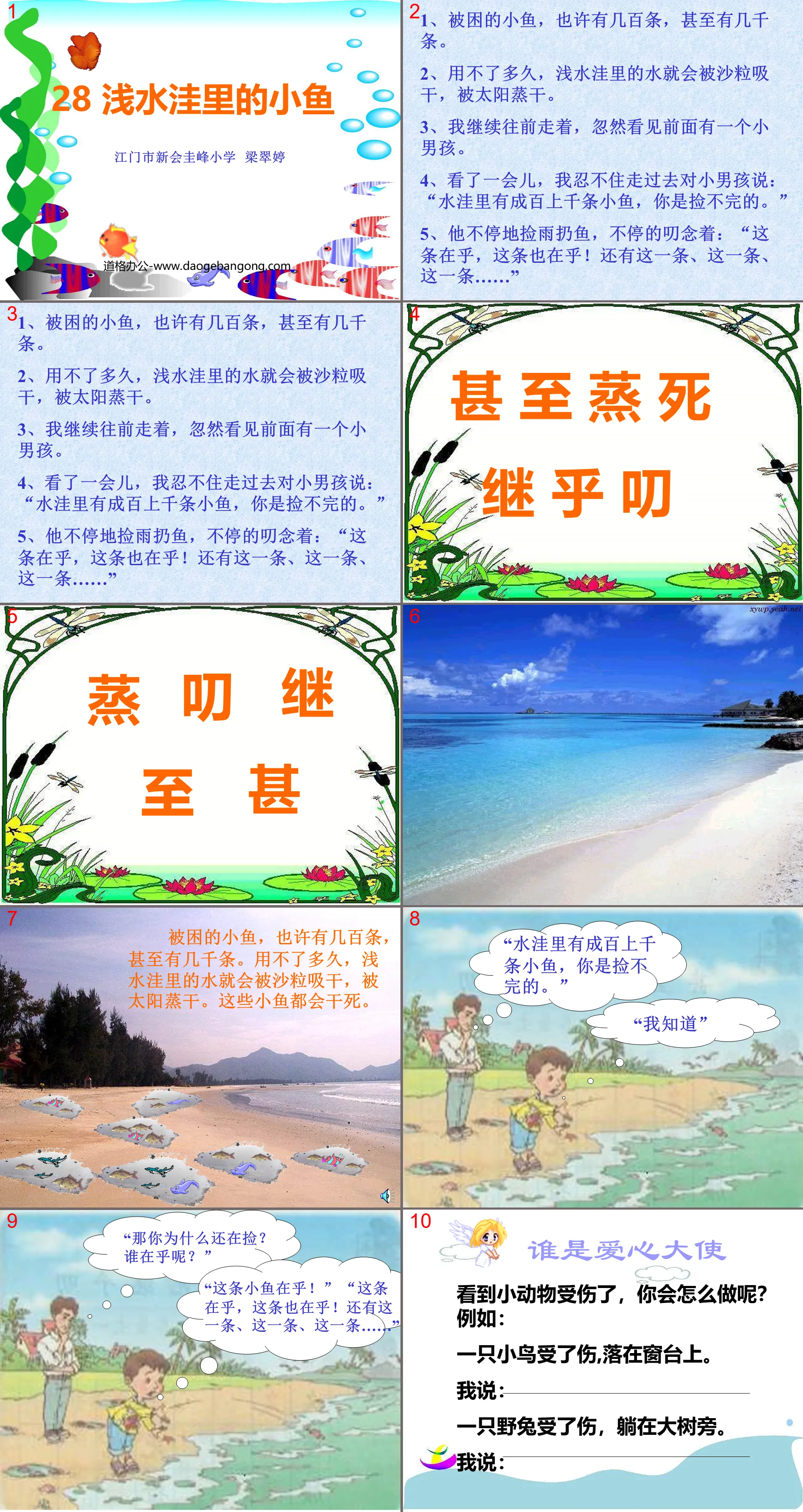 《浅水洼里的小鱼》PPT教学课件下载2