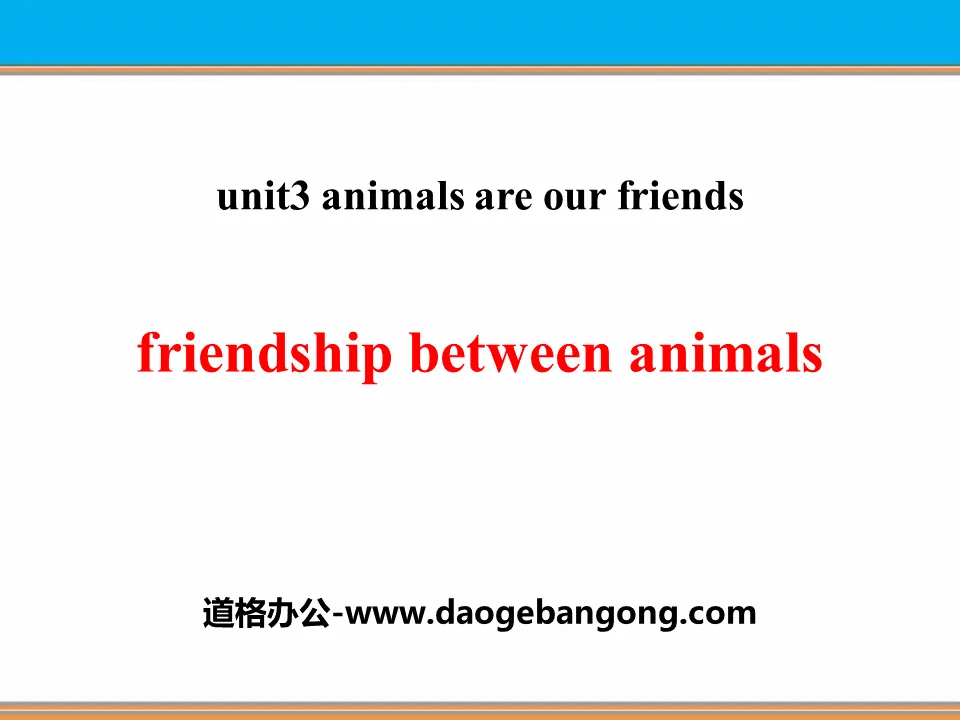 《Friendship Between Animals》Animals Are Our Friends PPT课件