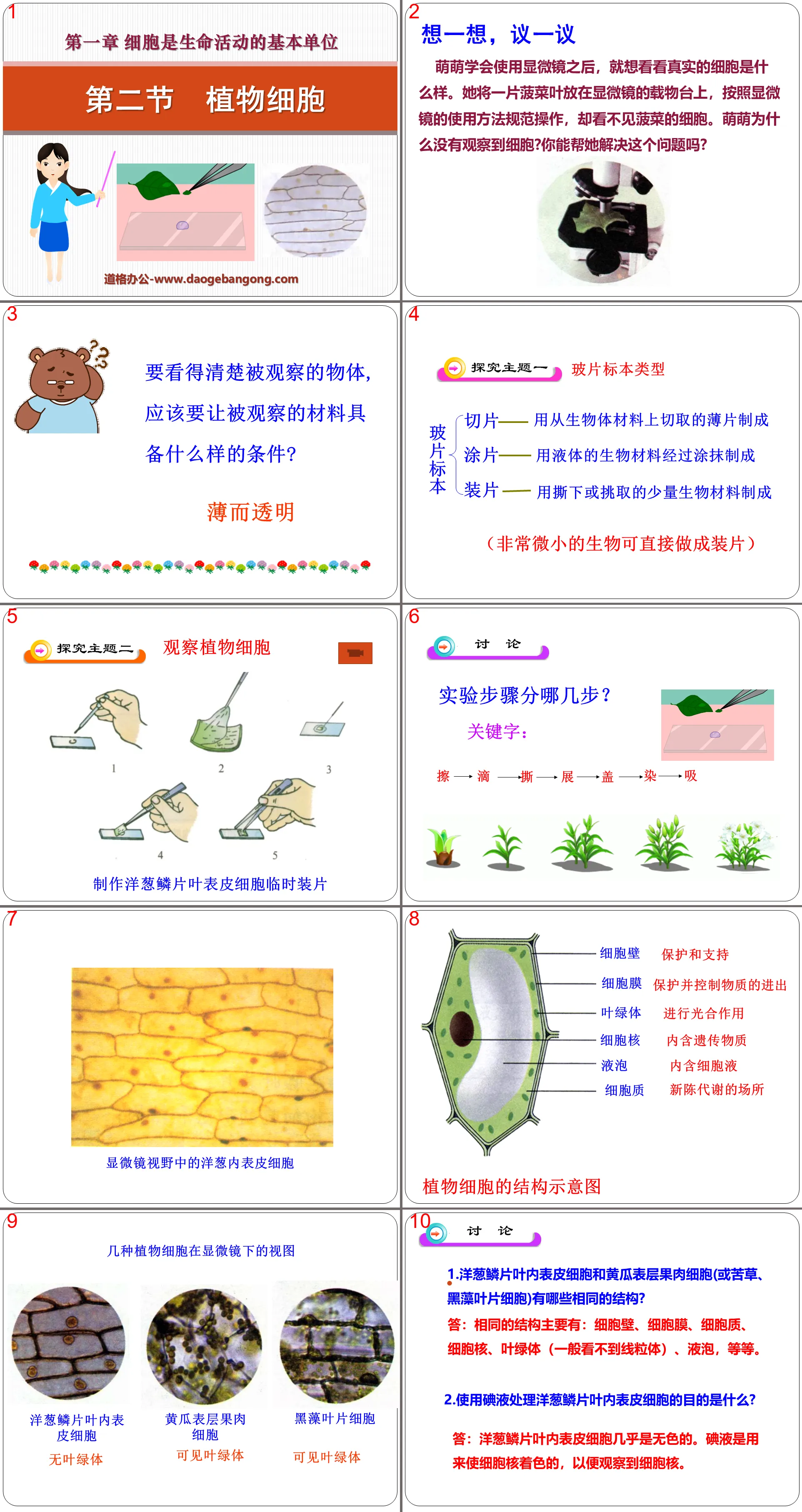 "Plant Cells" Cells are the basic units of life activities PPT courseware 3