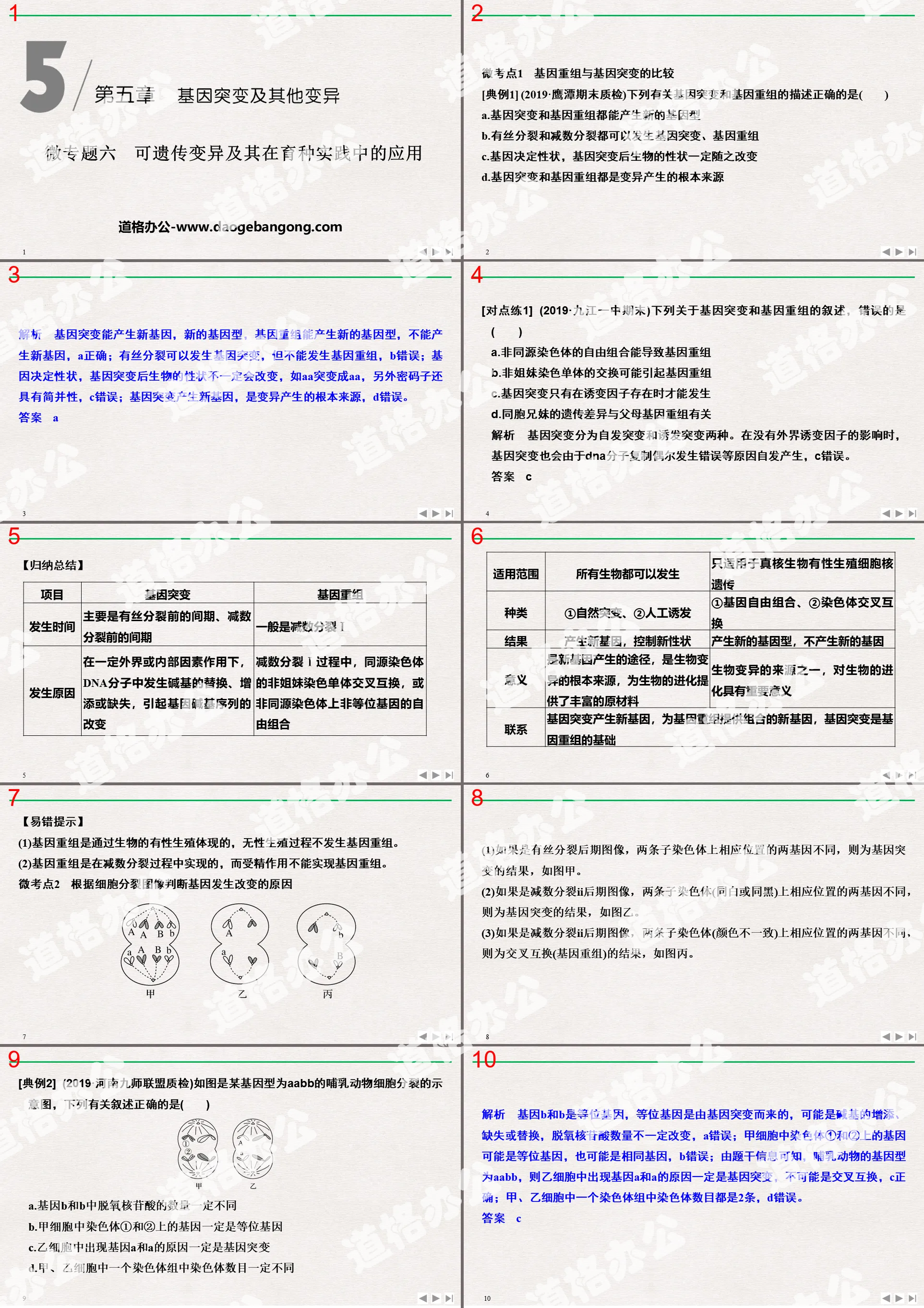 《微專題六 可遺傳變異及其在育種實踐中的應用》基因突變及其他變異PPT課件