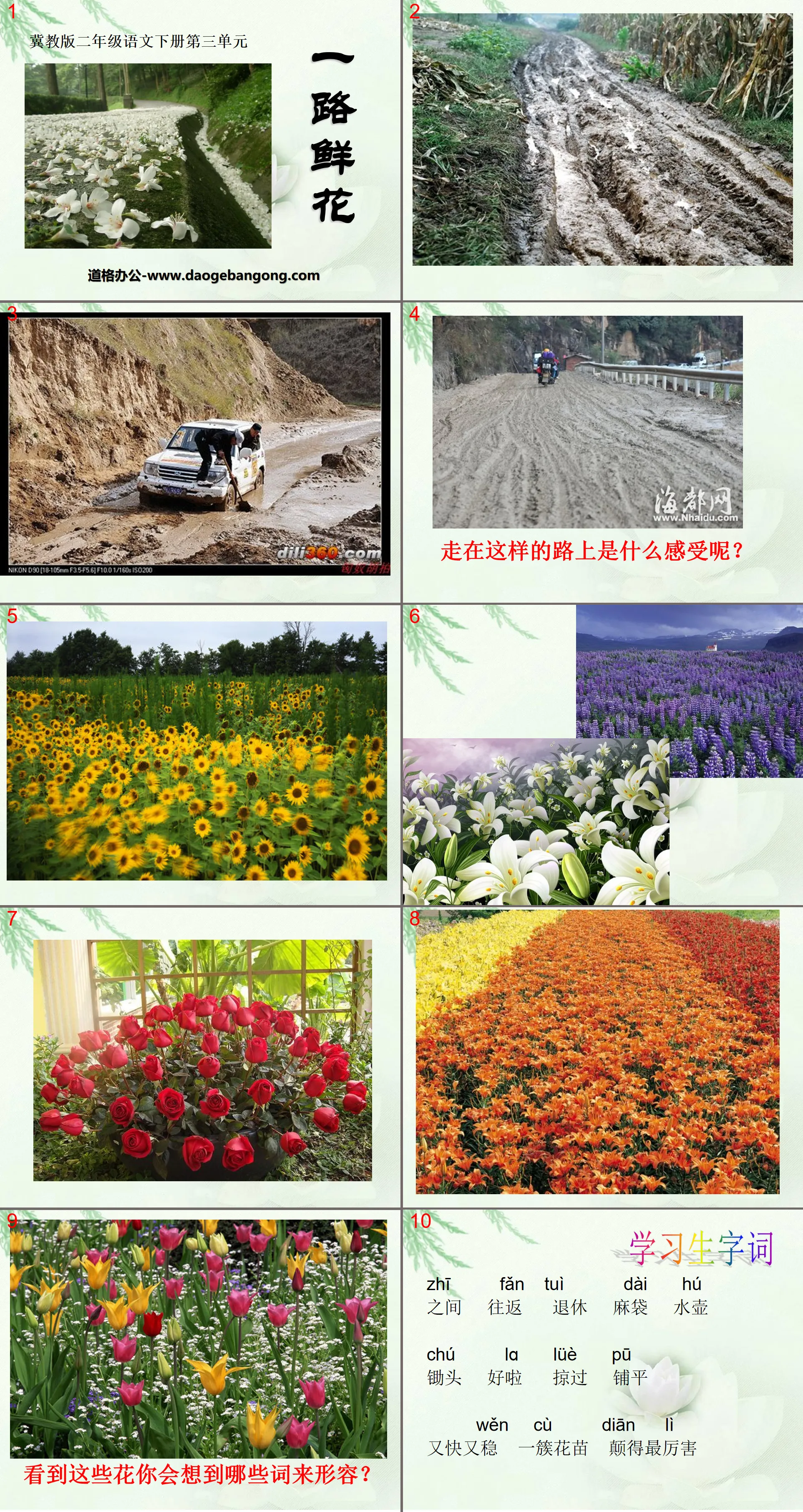 "Flowers Along the Road" PPT courseware