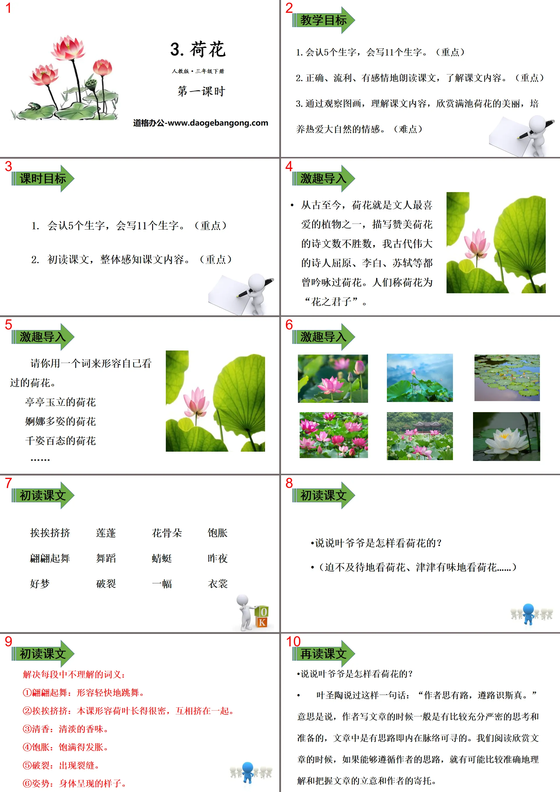 《荷花》PPT課件(第一課時)