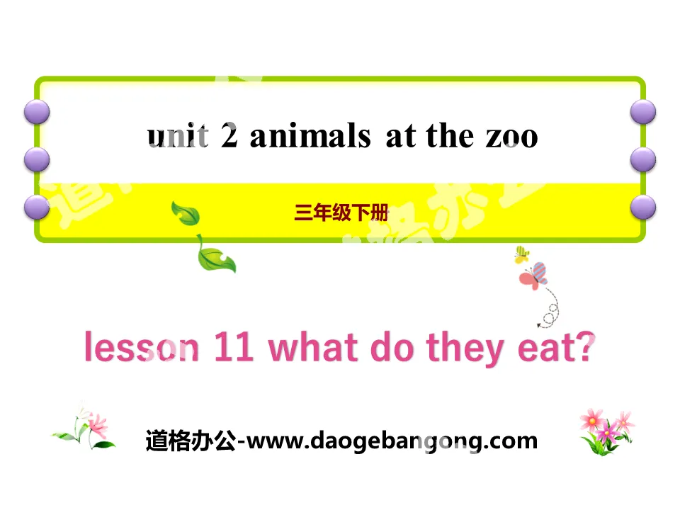 《What Do They Eat?》Animals at the zoo PPT