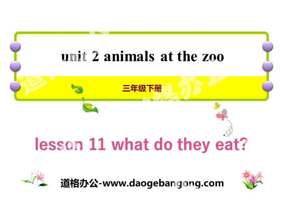 《What Do They Eat?》Animals at the zoo PPT
