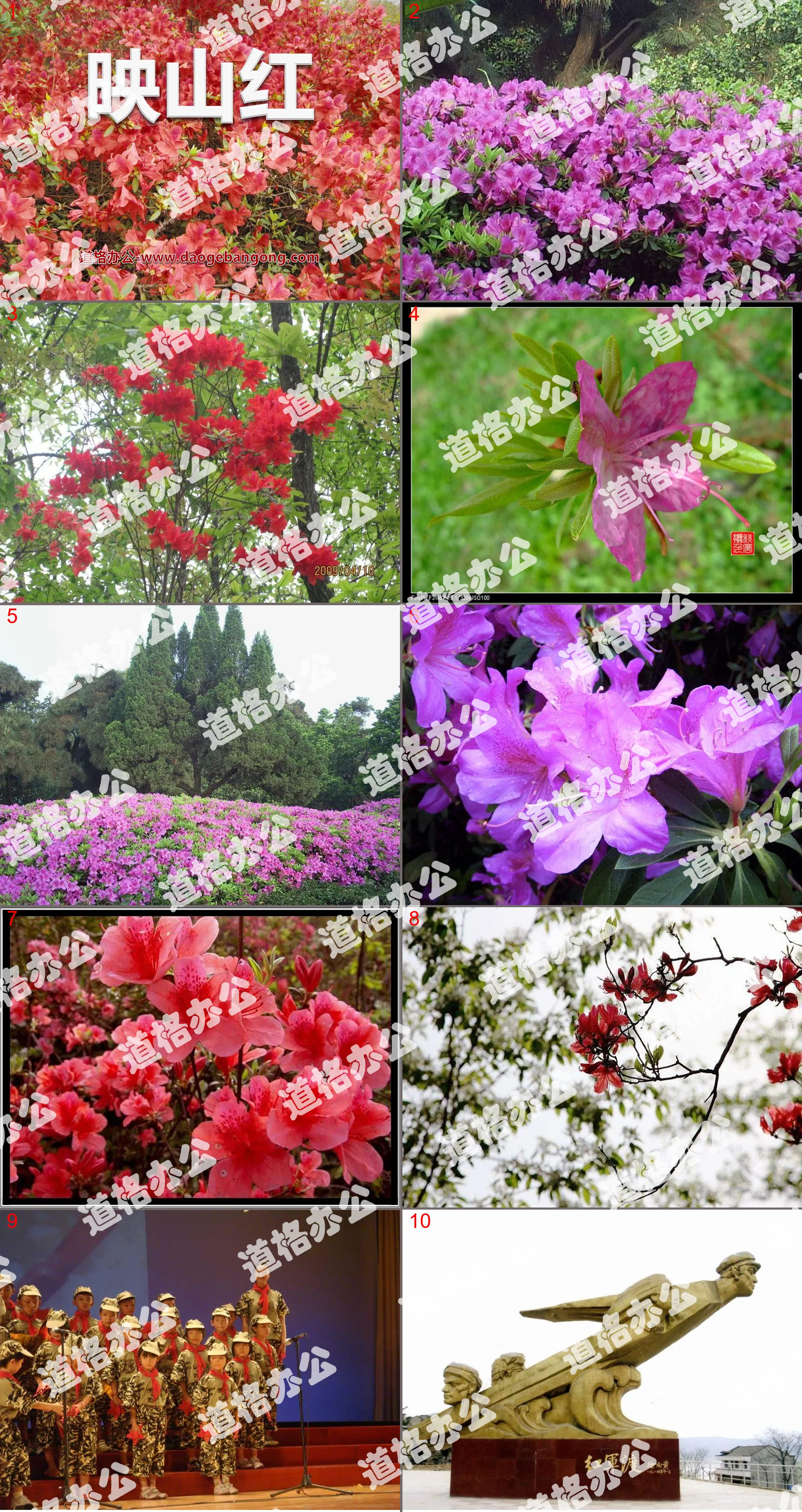 "Azalea" PPT courseware