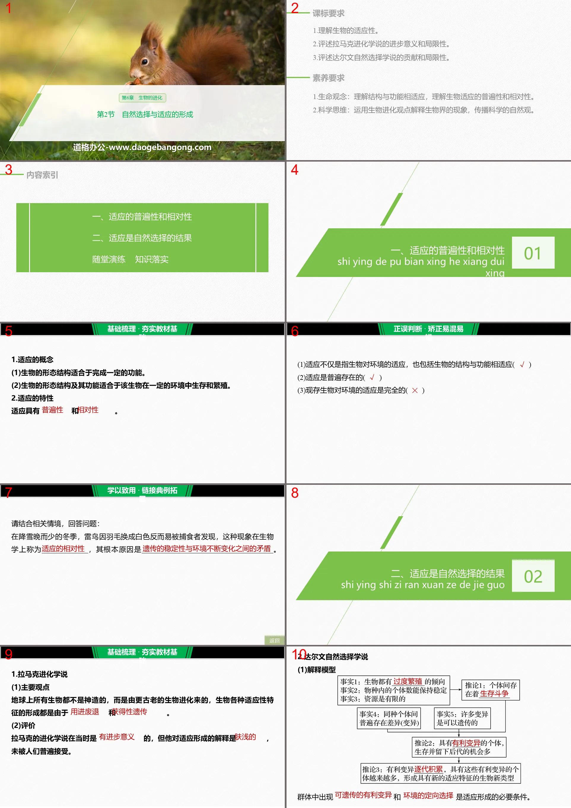 《自然选择与适应的形成》生物的进化PPT