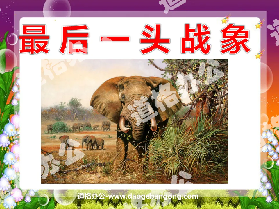 "The Last War Elephant" PPT courseware download