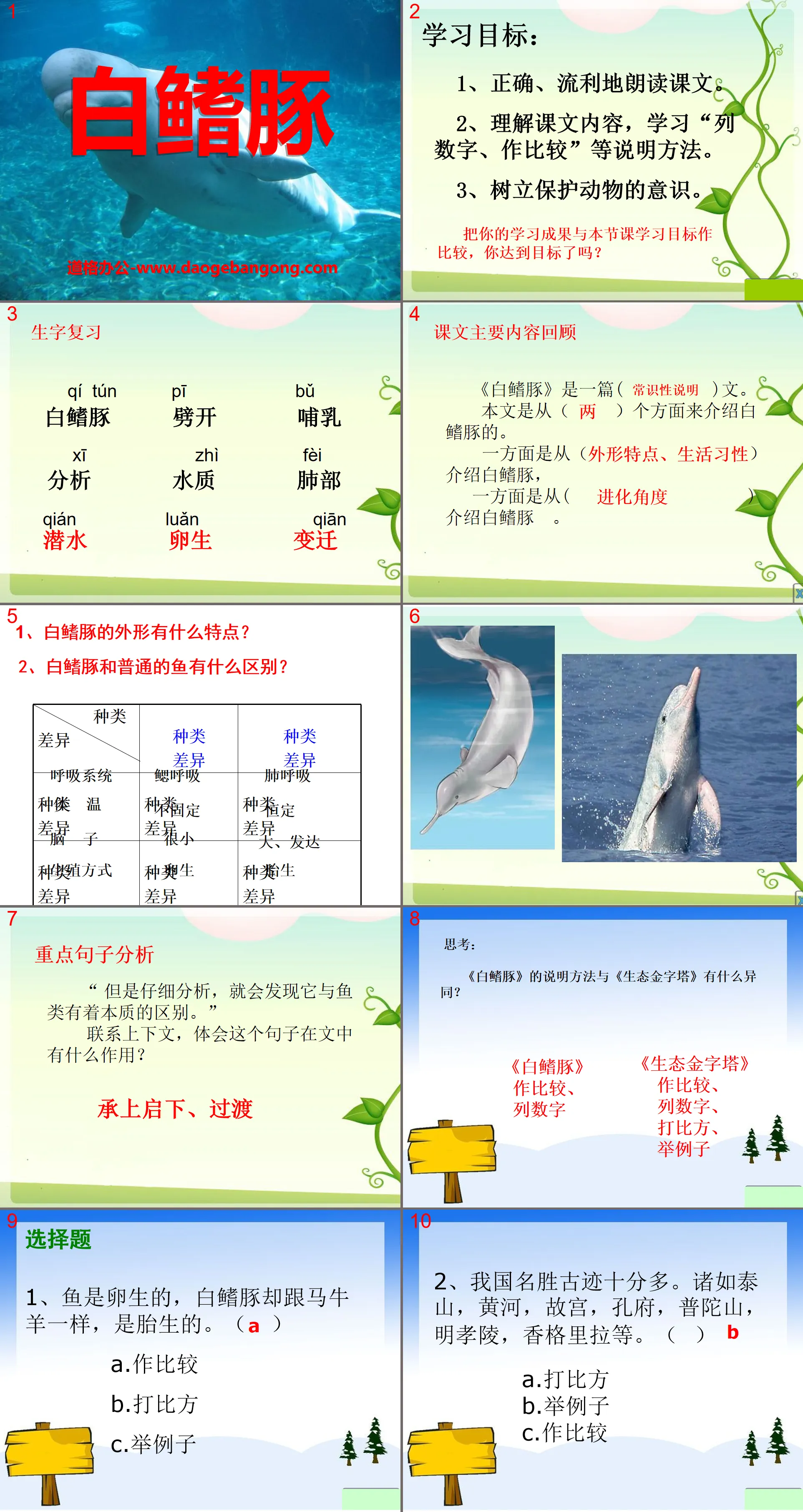 "Baiji Dolphin" PPT courseware 4