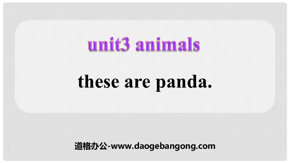 《These are pandas》Animals PPT課件