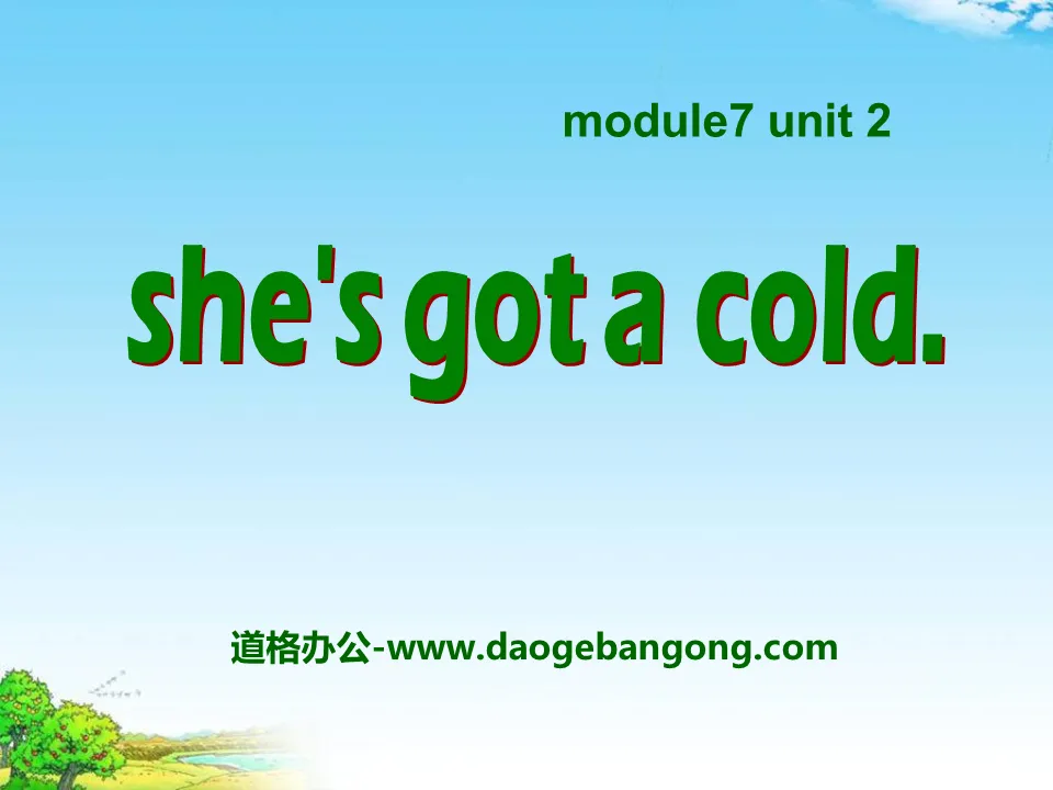 《She's got a cold》PPT courseware