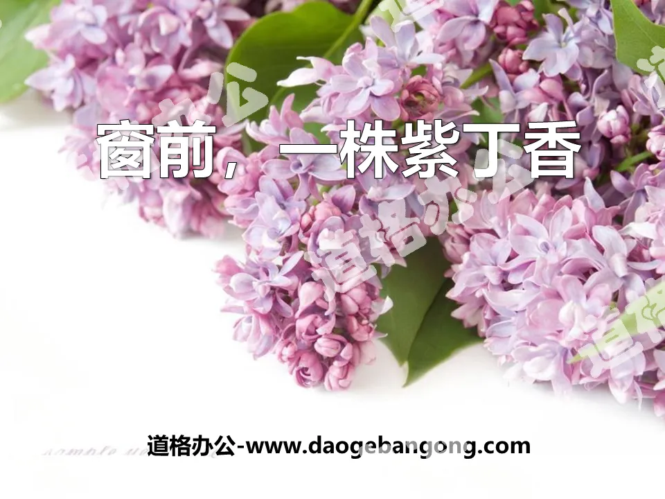 "A Lilac in front of the Window" PPT Courseware 4