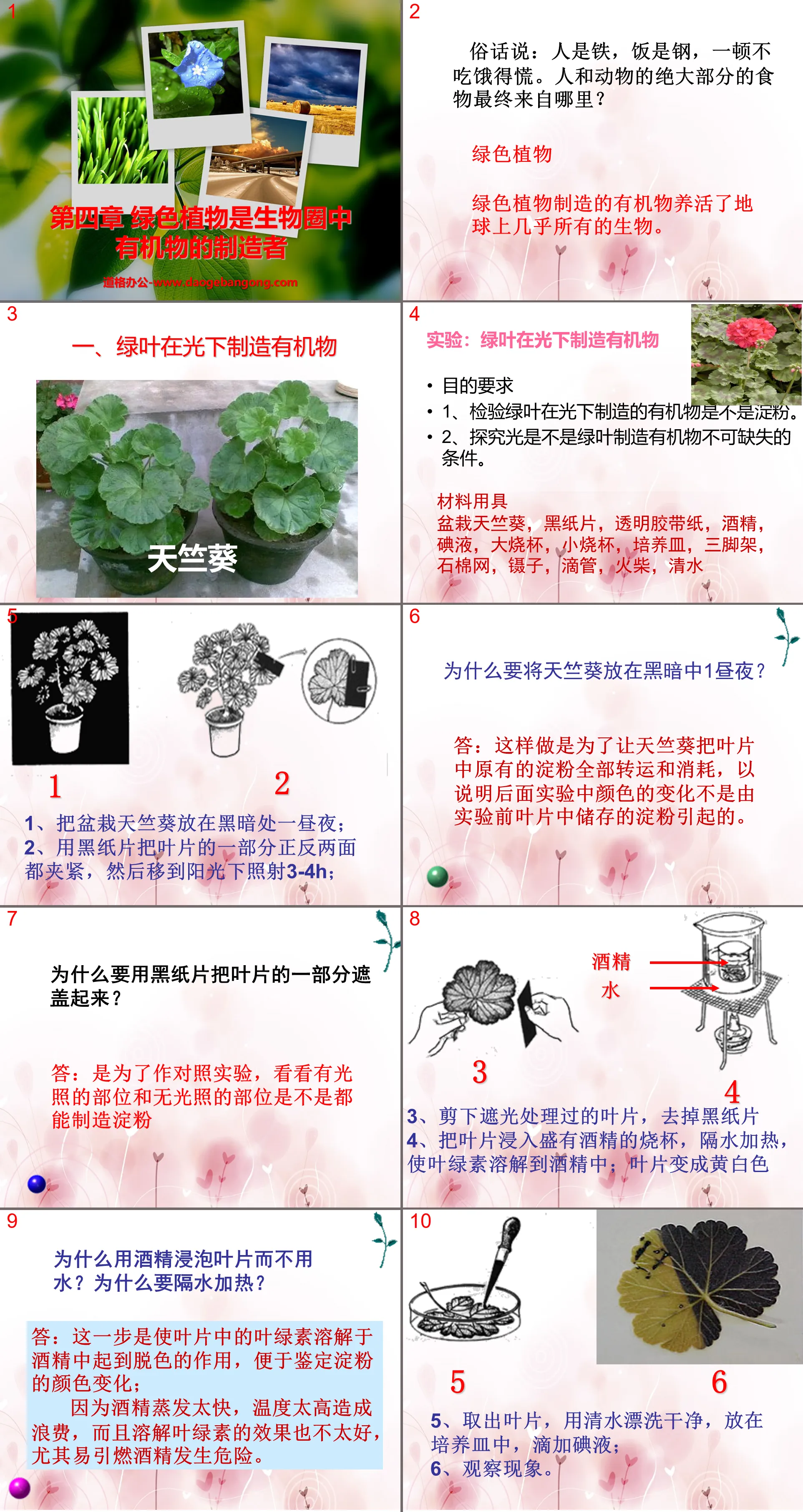 《綠色植物是生物圈中有機物的製造者》PPT課件3