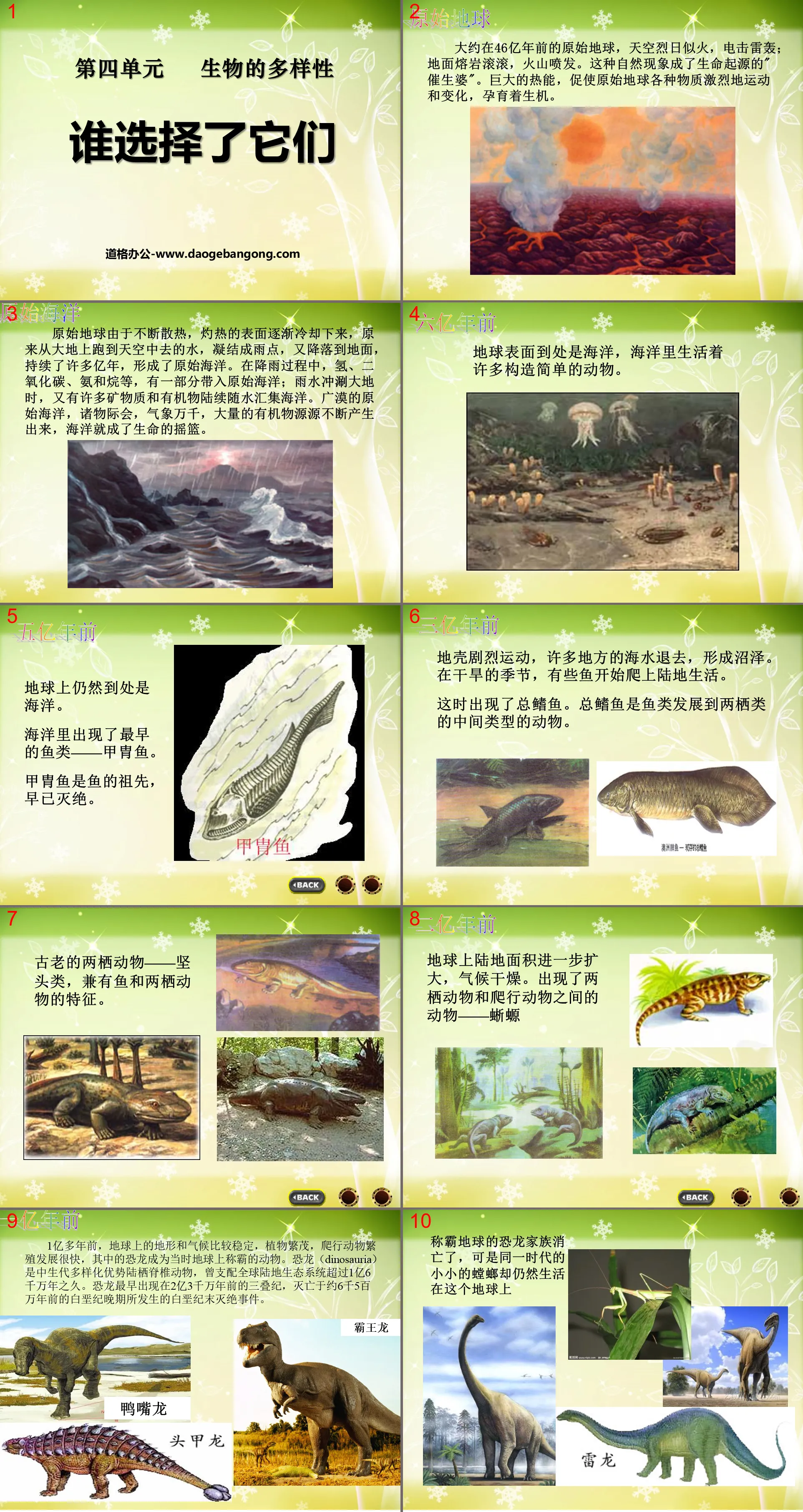 "Who Choose Them" Biological Diversity PPT Courseware 3