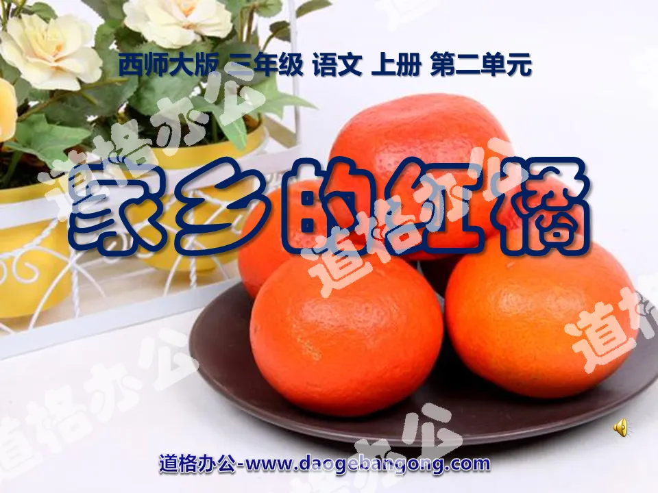 "Red Oranges in Hometown" PPT courseware 4