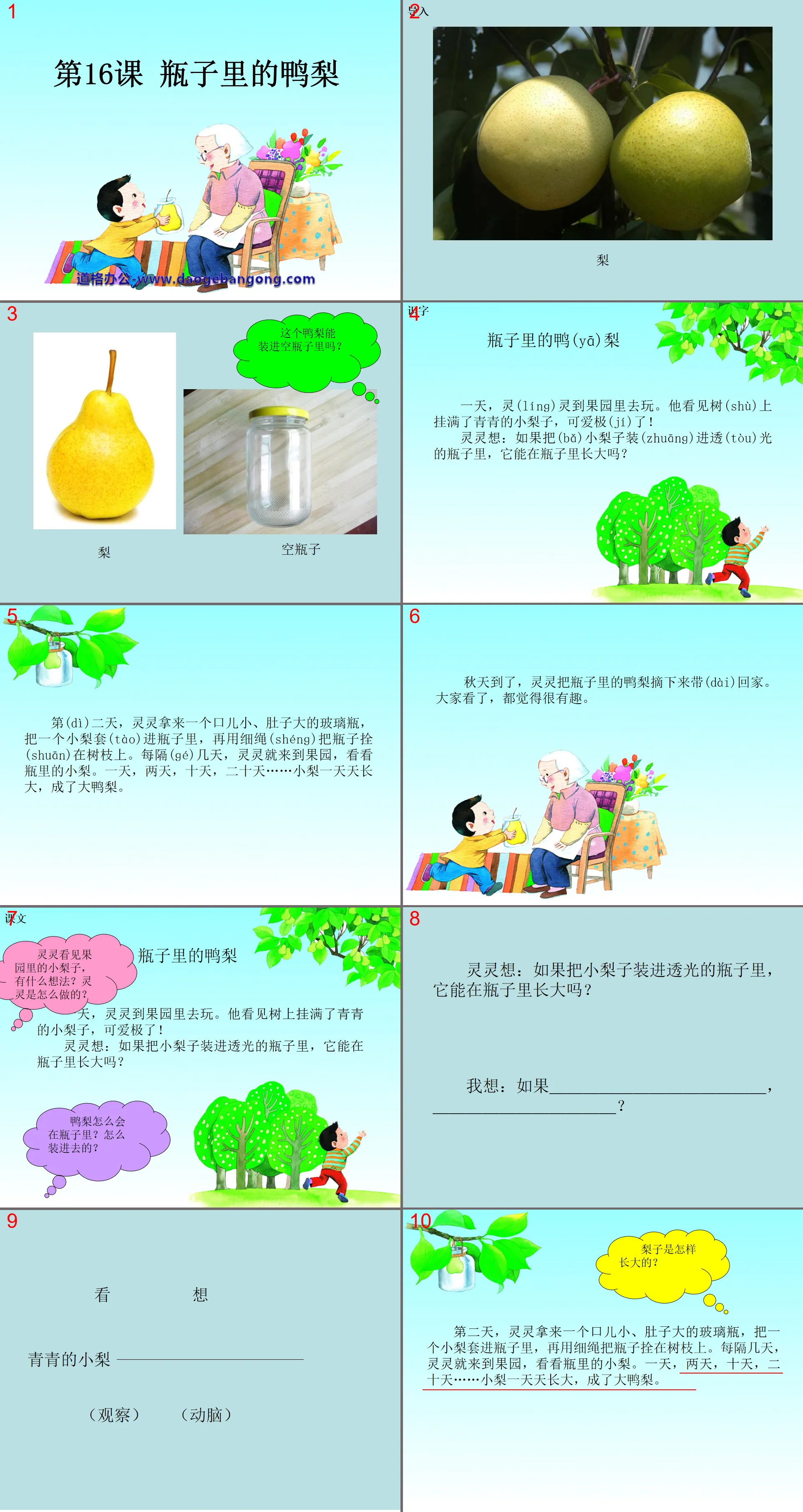 "Pear in a Bottle" PPT Courseware 2