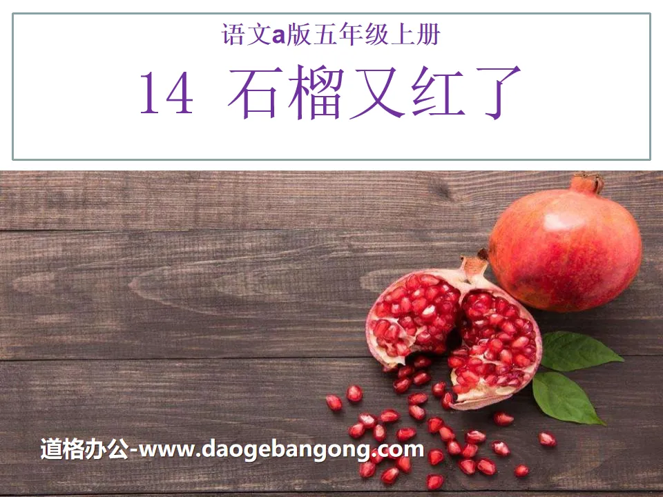 《石榴又红了》PPT课件2
