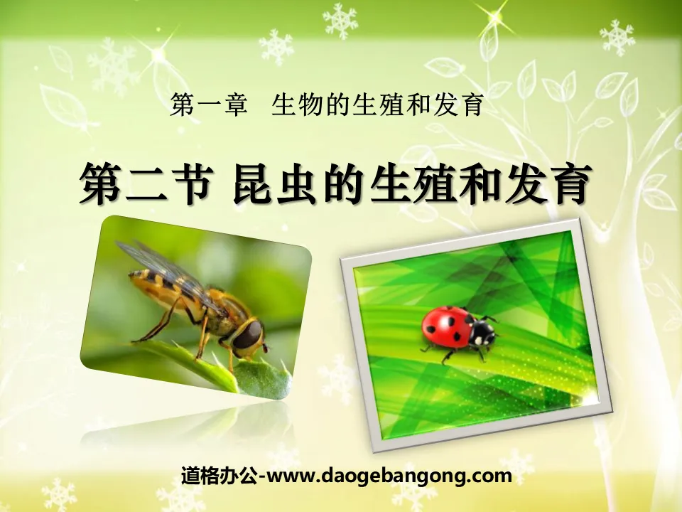 "Reproduction and Development of Insects" Reproduction and Development of Biological Organisms PPT Courseware 5