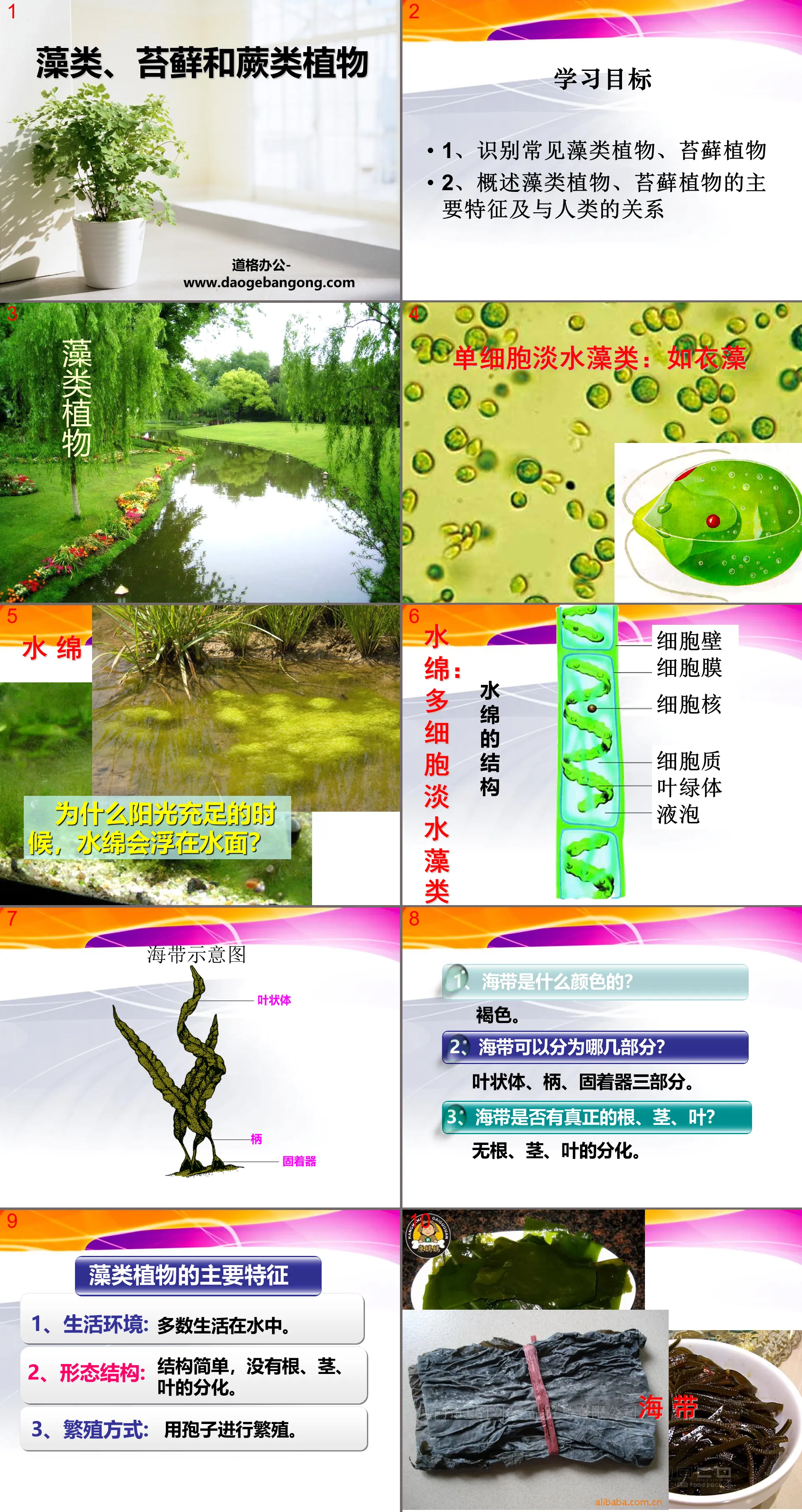 "Algae, Moss and Ferns" What are the green plants in the biosphere PPT courseware