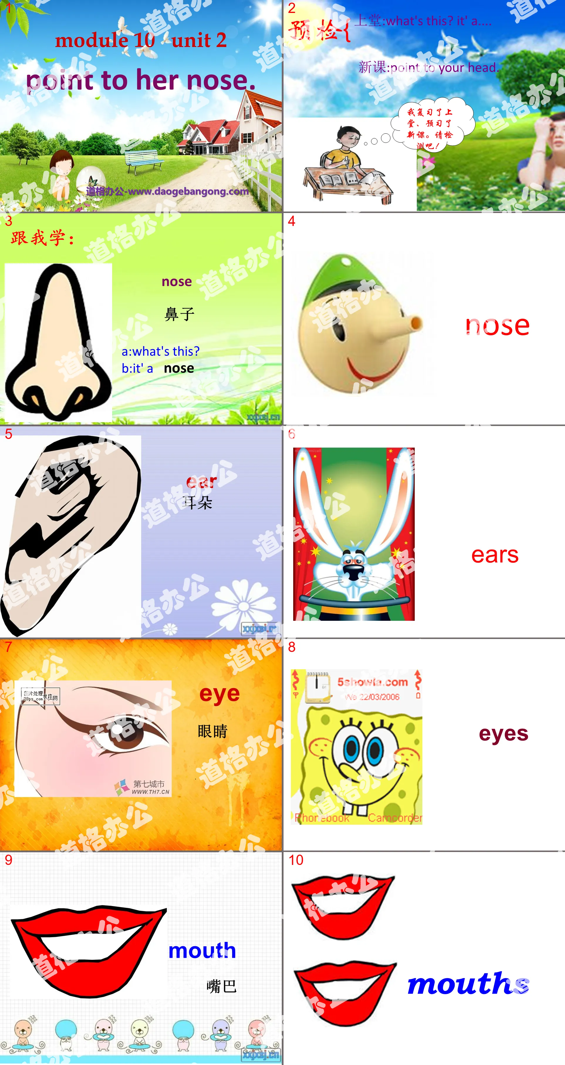"Point to her nose" PPT courseware