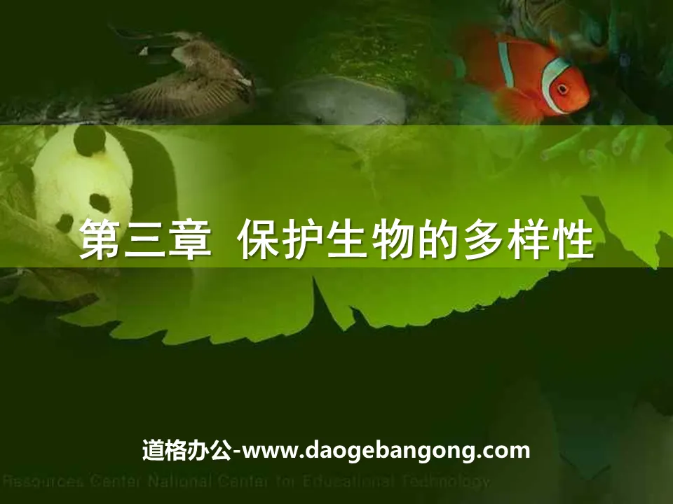 《保護生物的多樣性》PPT課件2