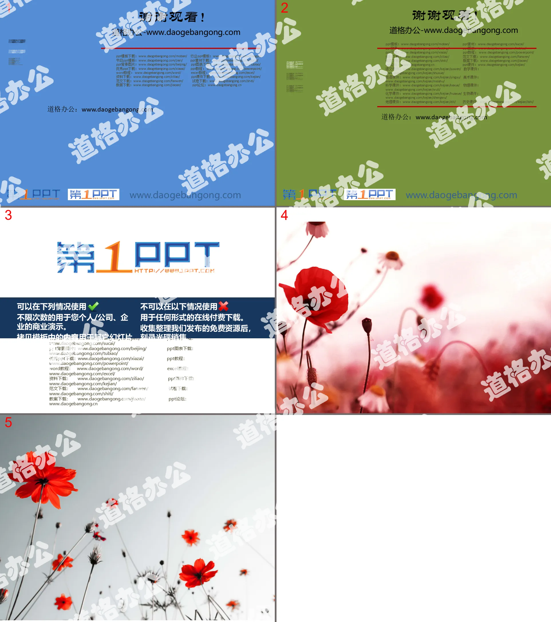 Red poppy flower PPT background picture