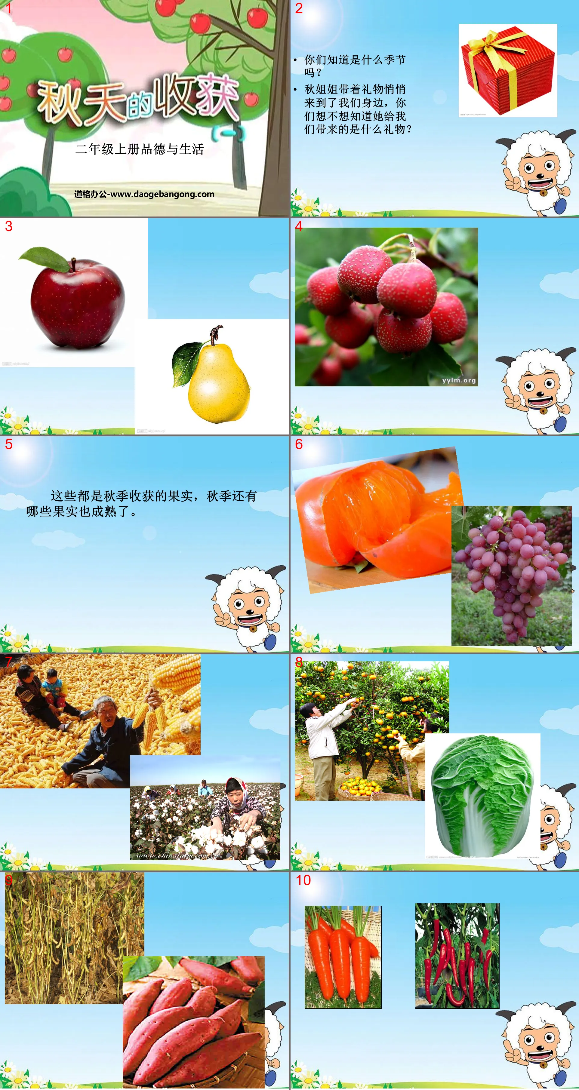 "Autumn Harvest" golden autumn PPT courseware