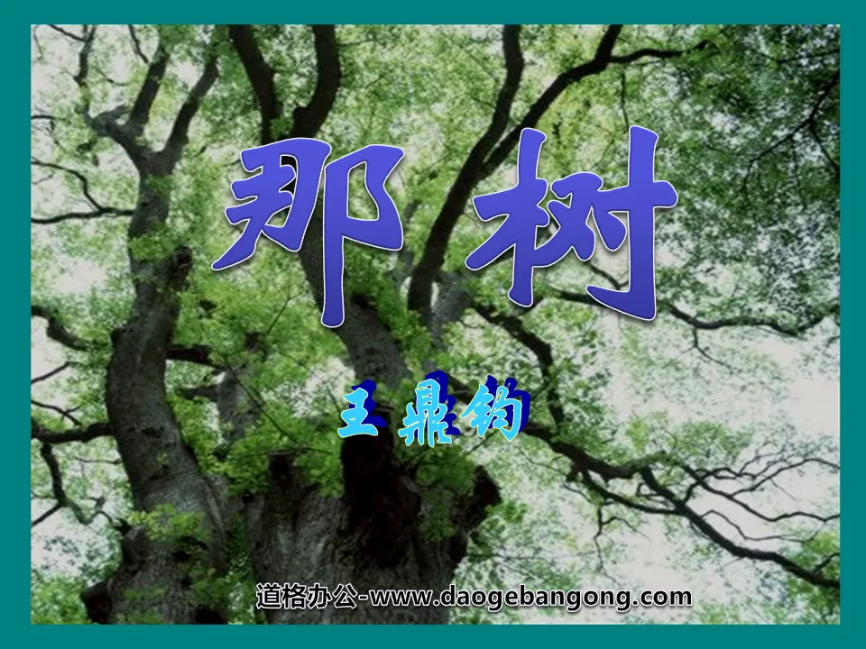 《那树》PPT课件6
