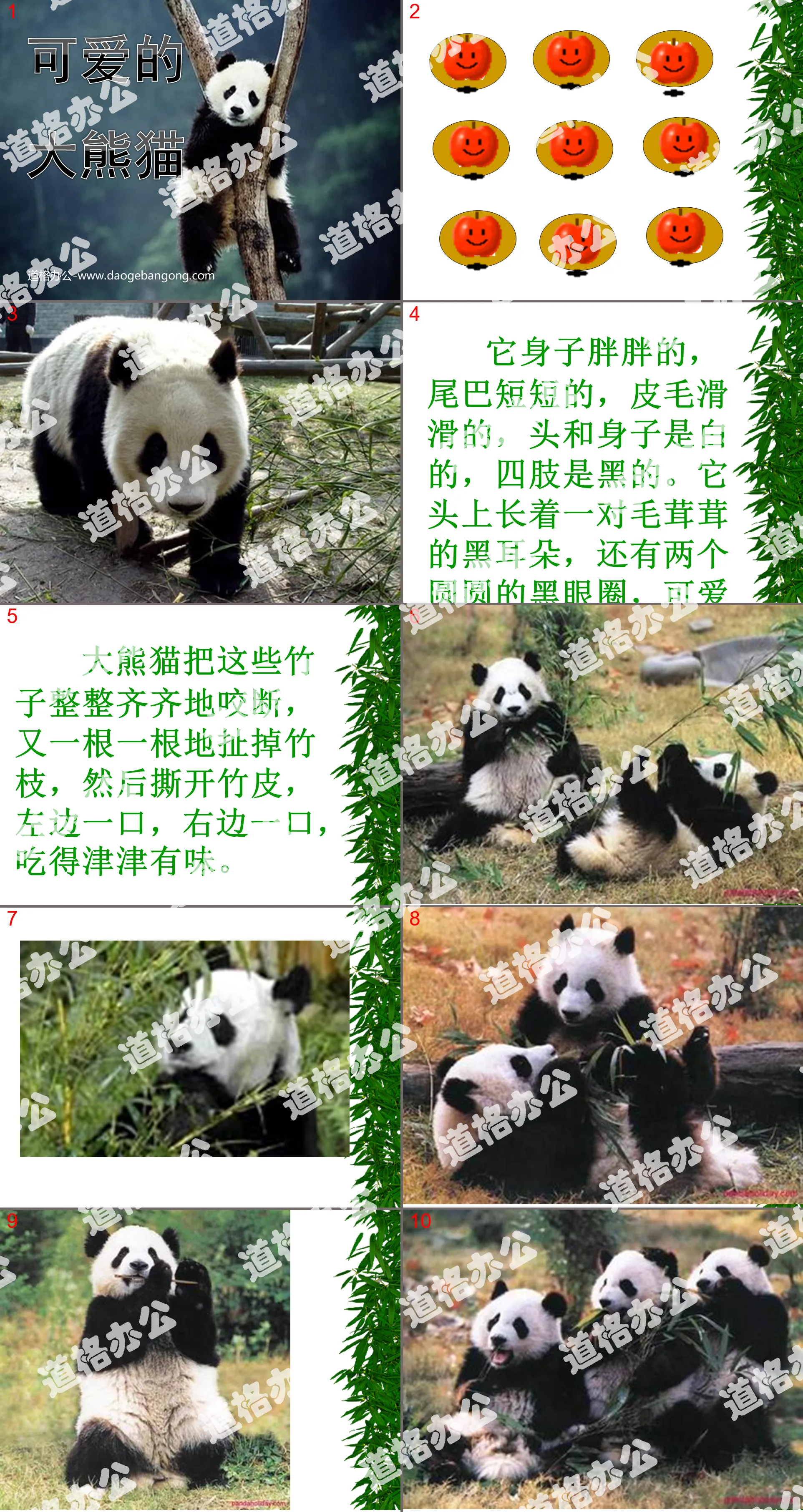 《可爱的大熊猫》PPT课件
