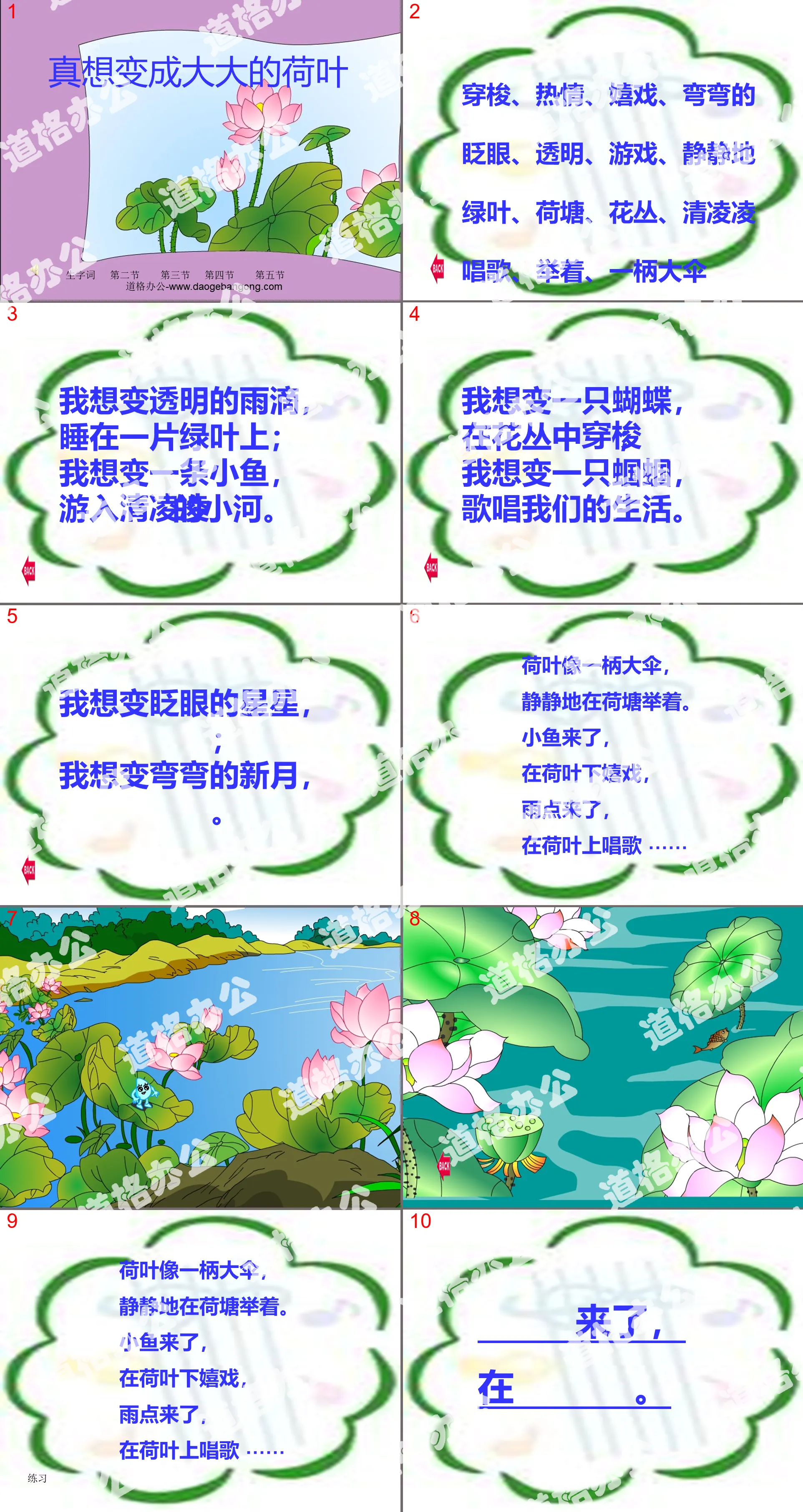 "I really want to become a big lotus leaf" PPT courseware