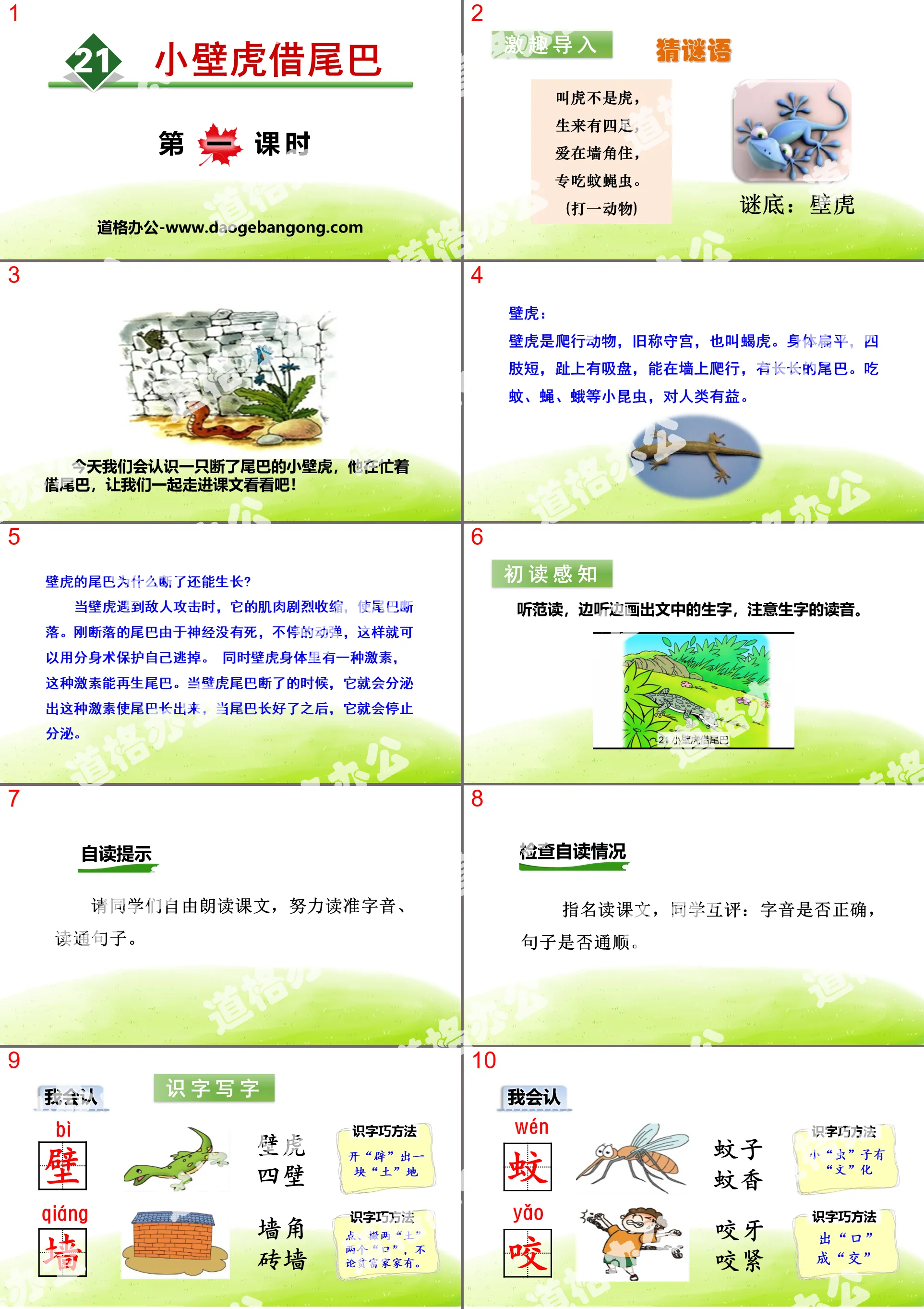 《小壁虎借尾巴》PPT(第一課時)