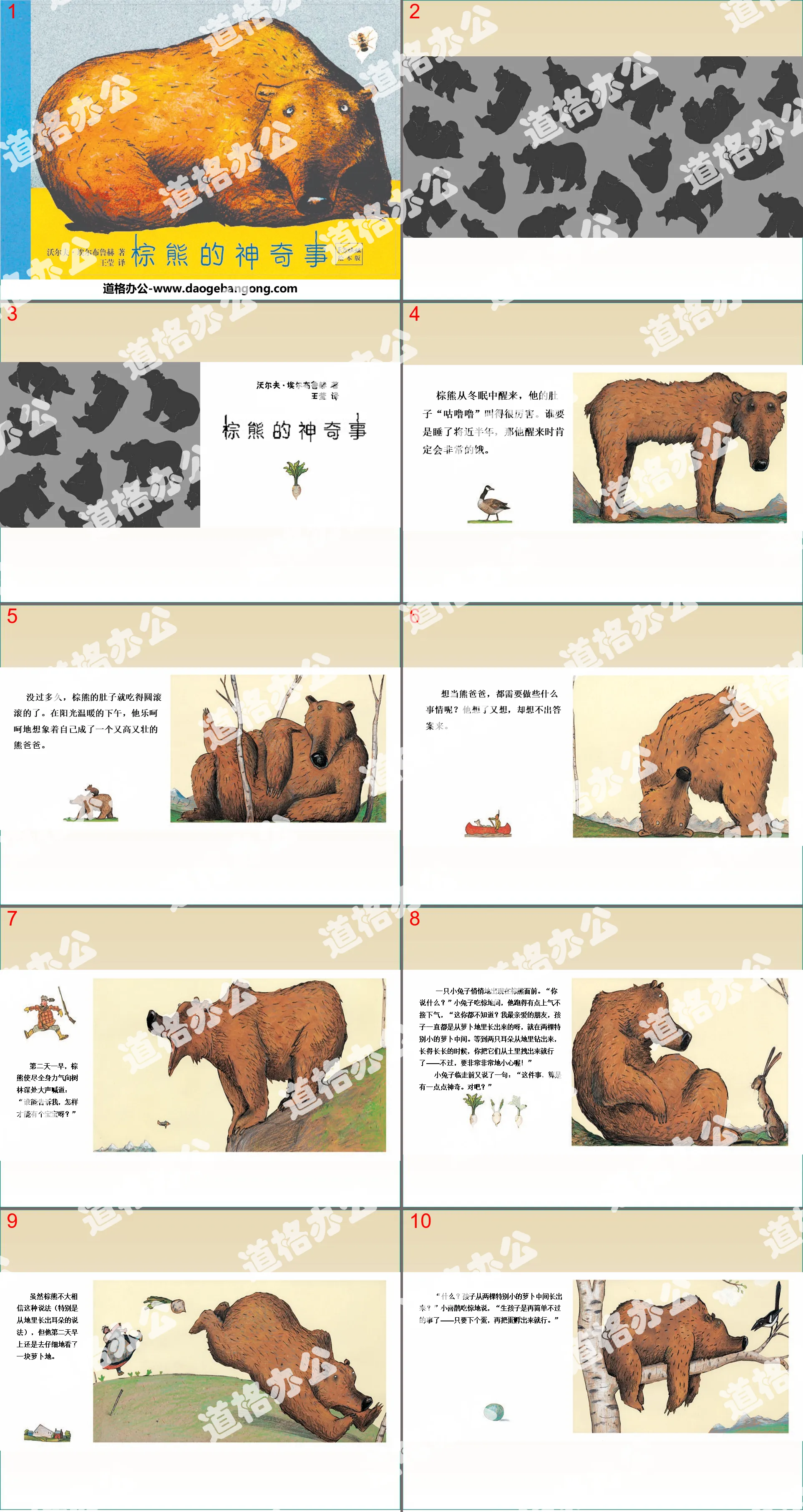 "The Amazing Things of the Brown Bear" picture book story PPT
