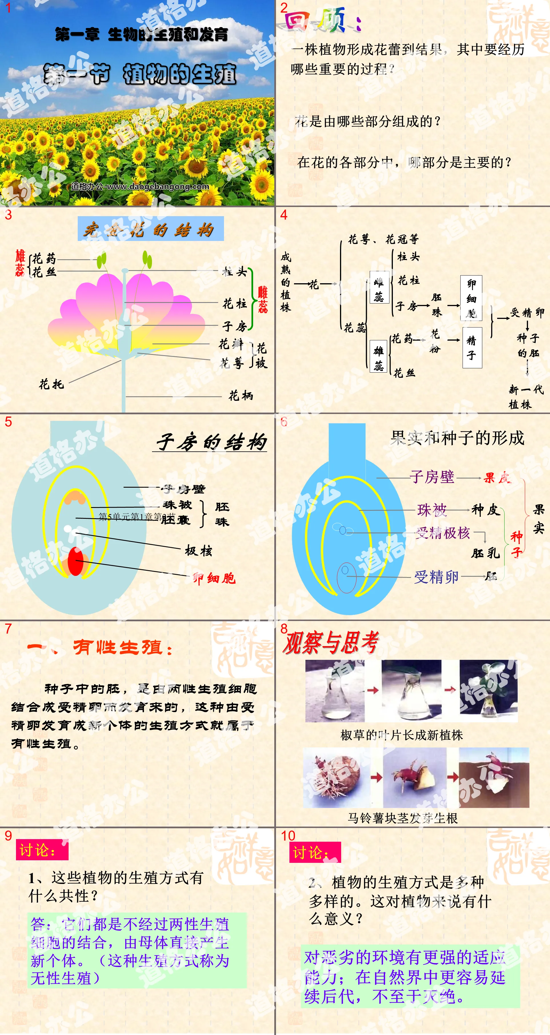 《植物的生殖》生物的生殖和發育PPT課件3