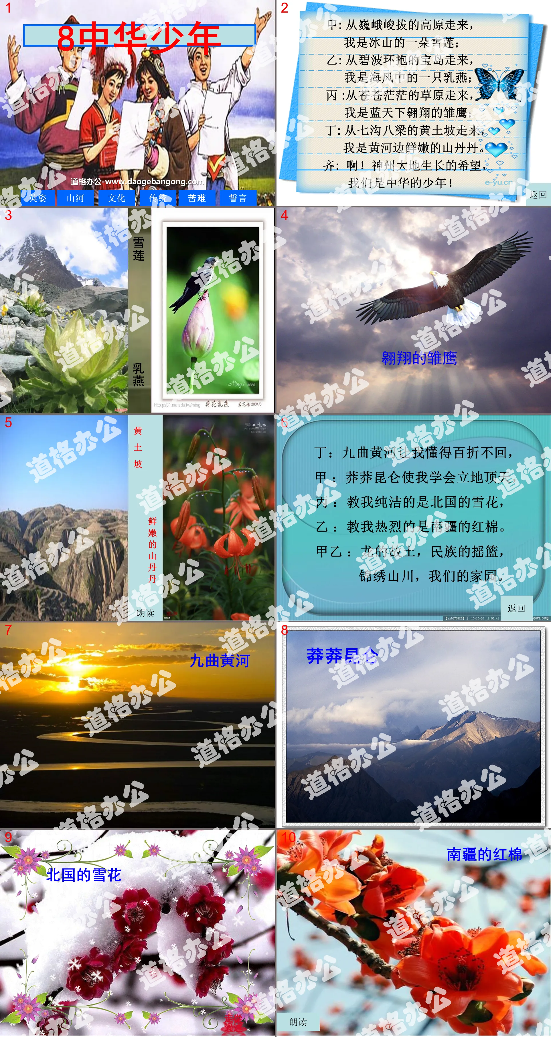 "Chinese Youth" PPT courseware download 2