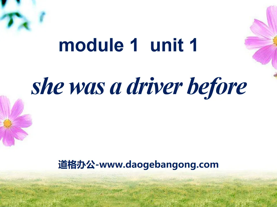 《She was a driver before》PPT課程4