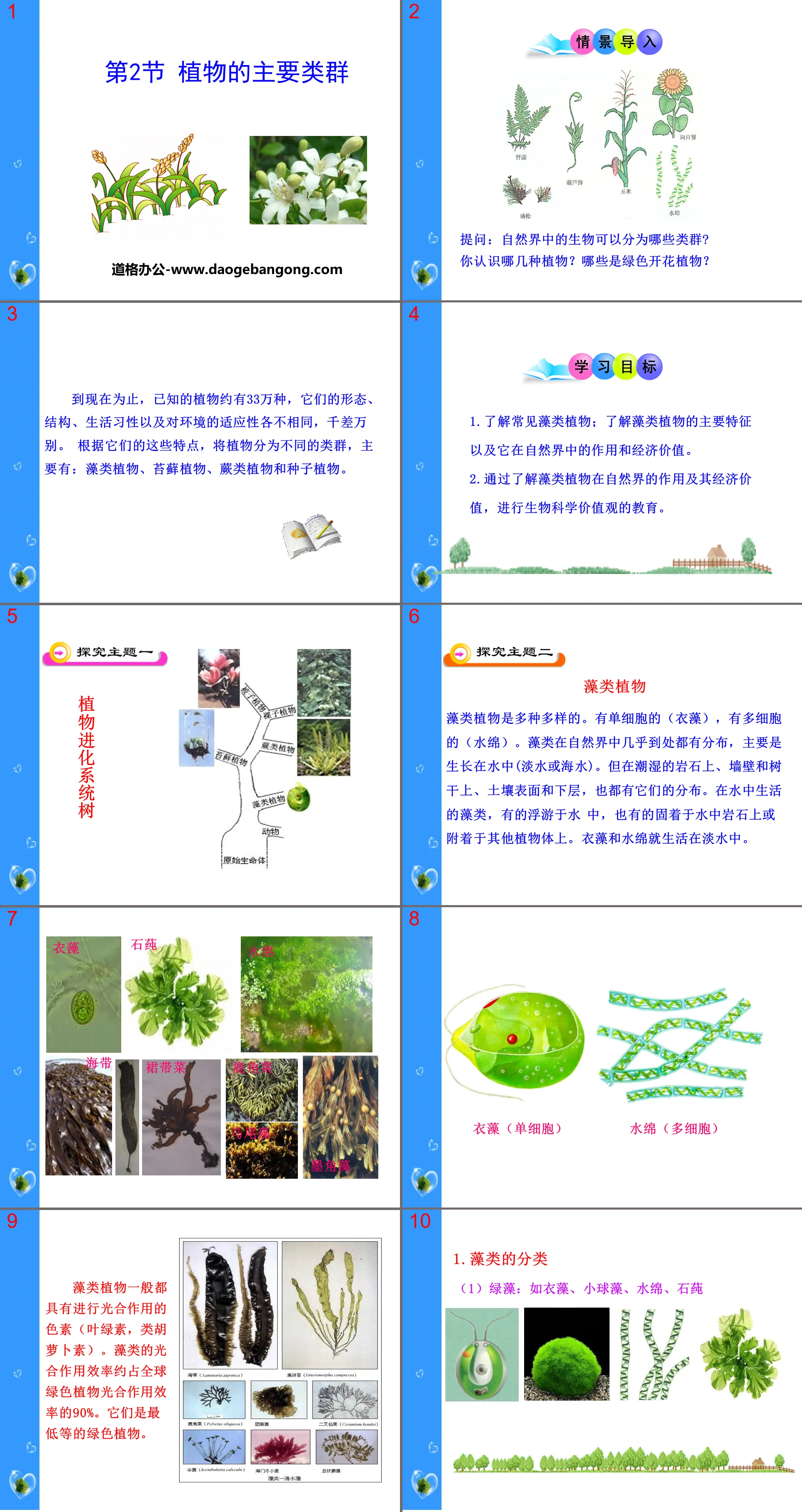 《植物的主要类群》PPT
