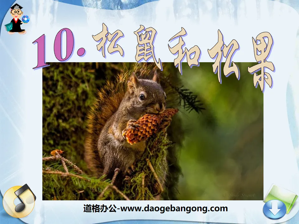 "Squirrel and Pine Cone" PPT Courseware 7