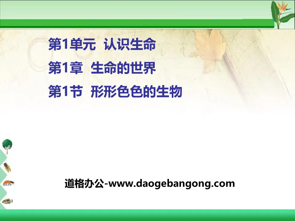 《形形色色的生物》PPT
