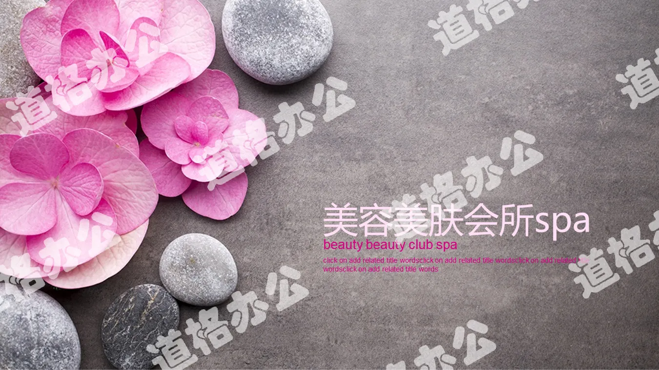 粉色鲜花鹅卵石背景的美容养生PPT模板