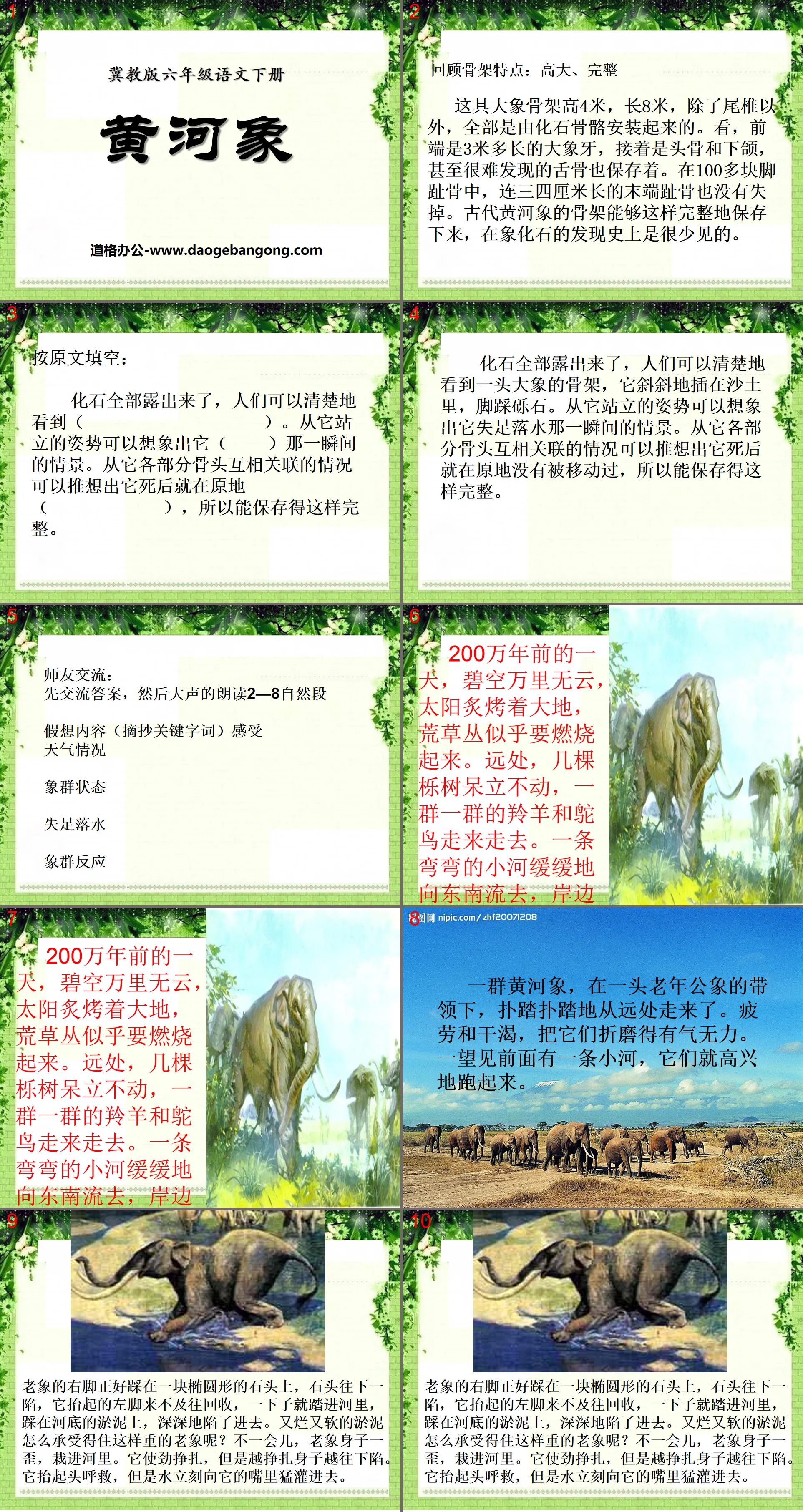 《黄河象》PPT课件6
