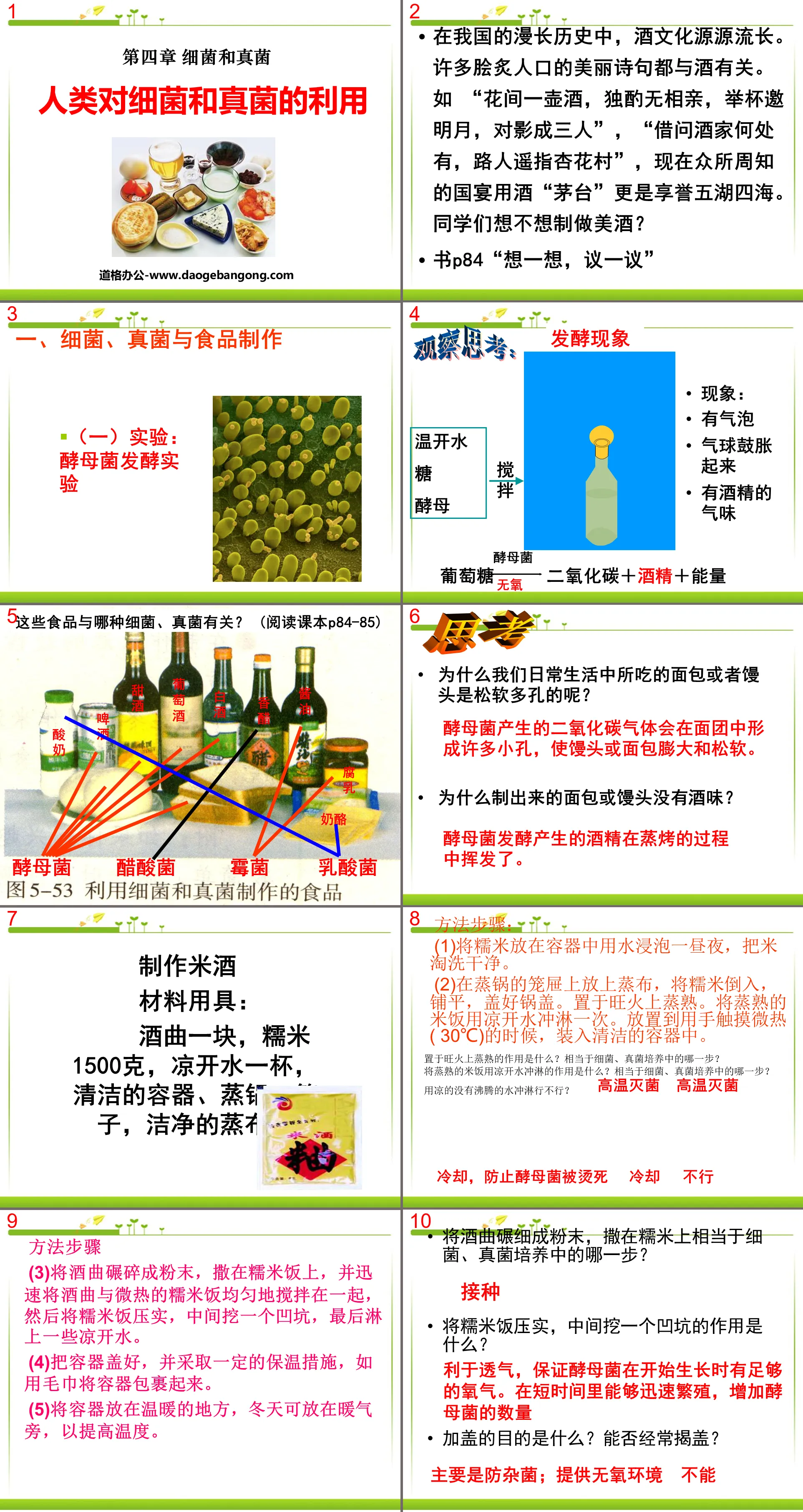 《人类对细菌和真菌的利用》细菌和真菌PPT课件4
