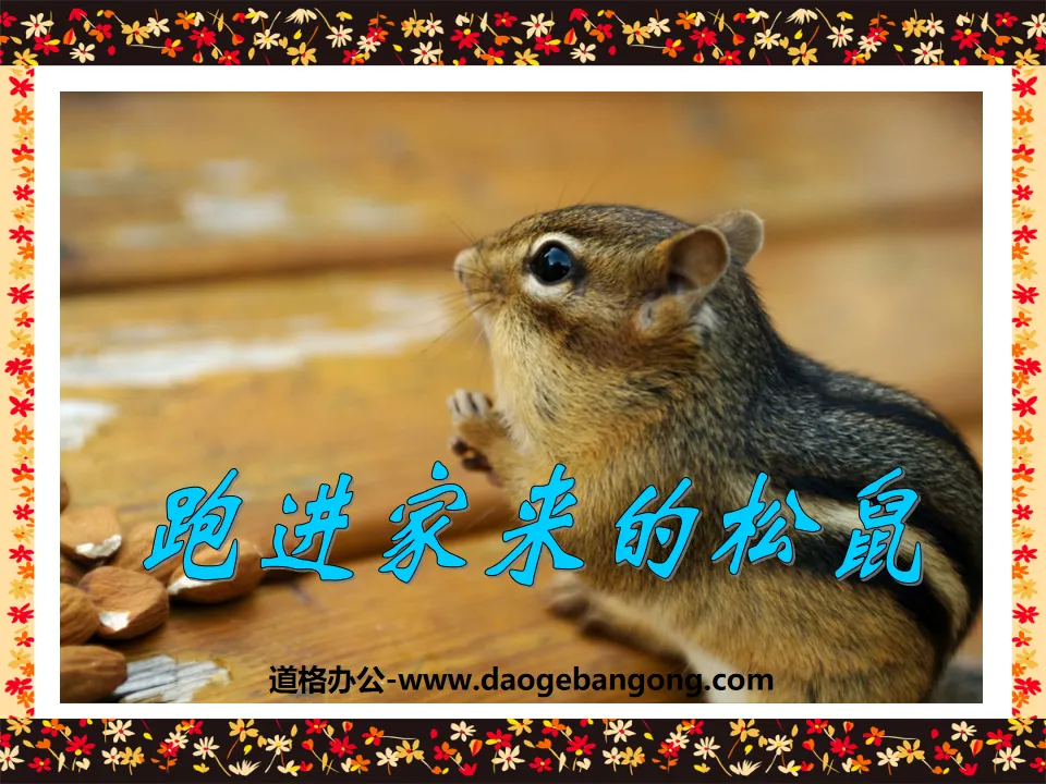 "The Squirrel Ran into the House" PPT Courseware 4