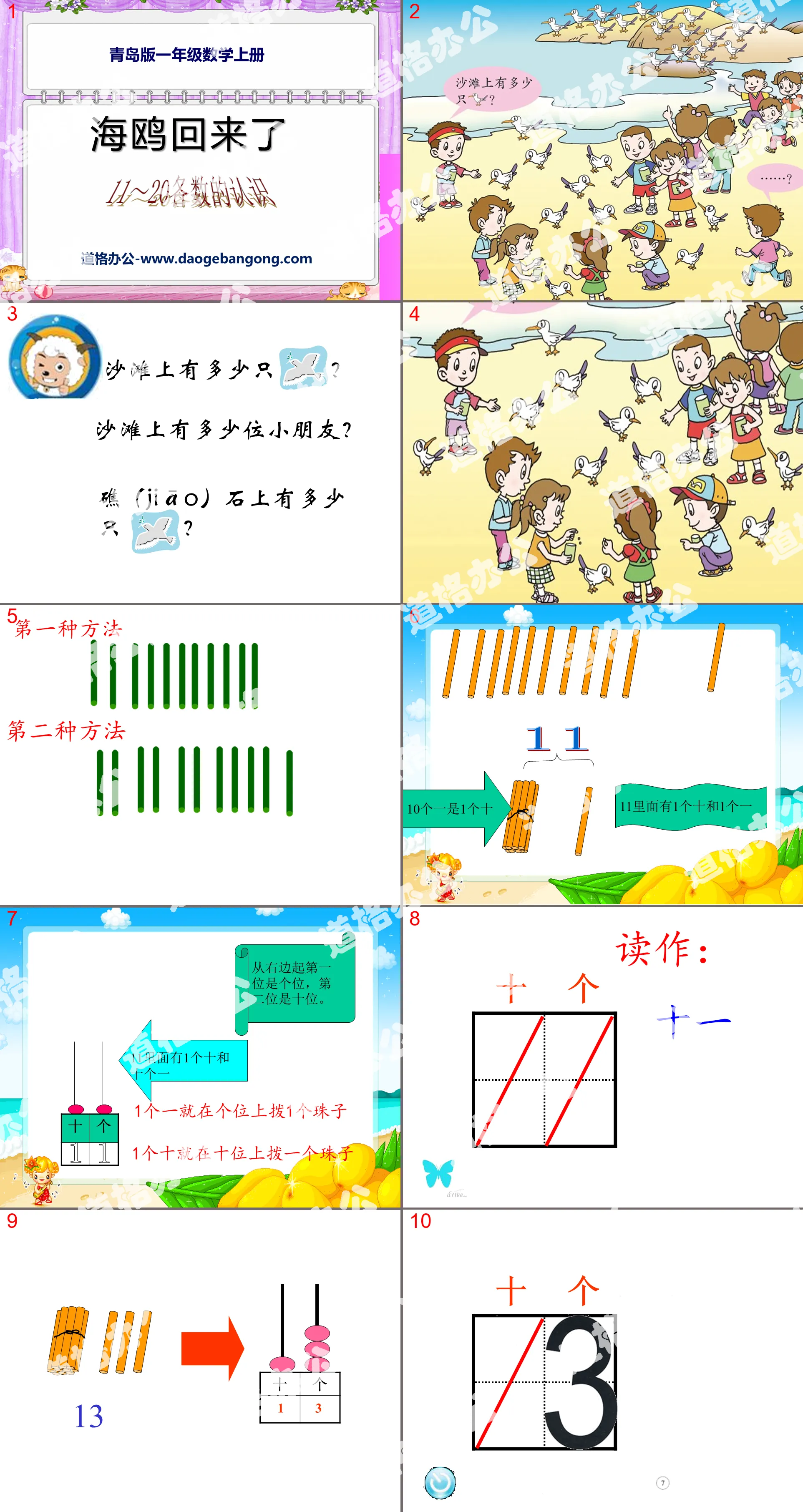 《海鸥回来了》PPT课件2
