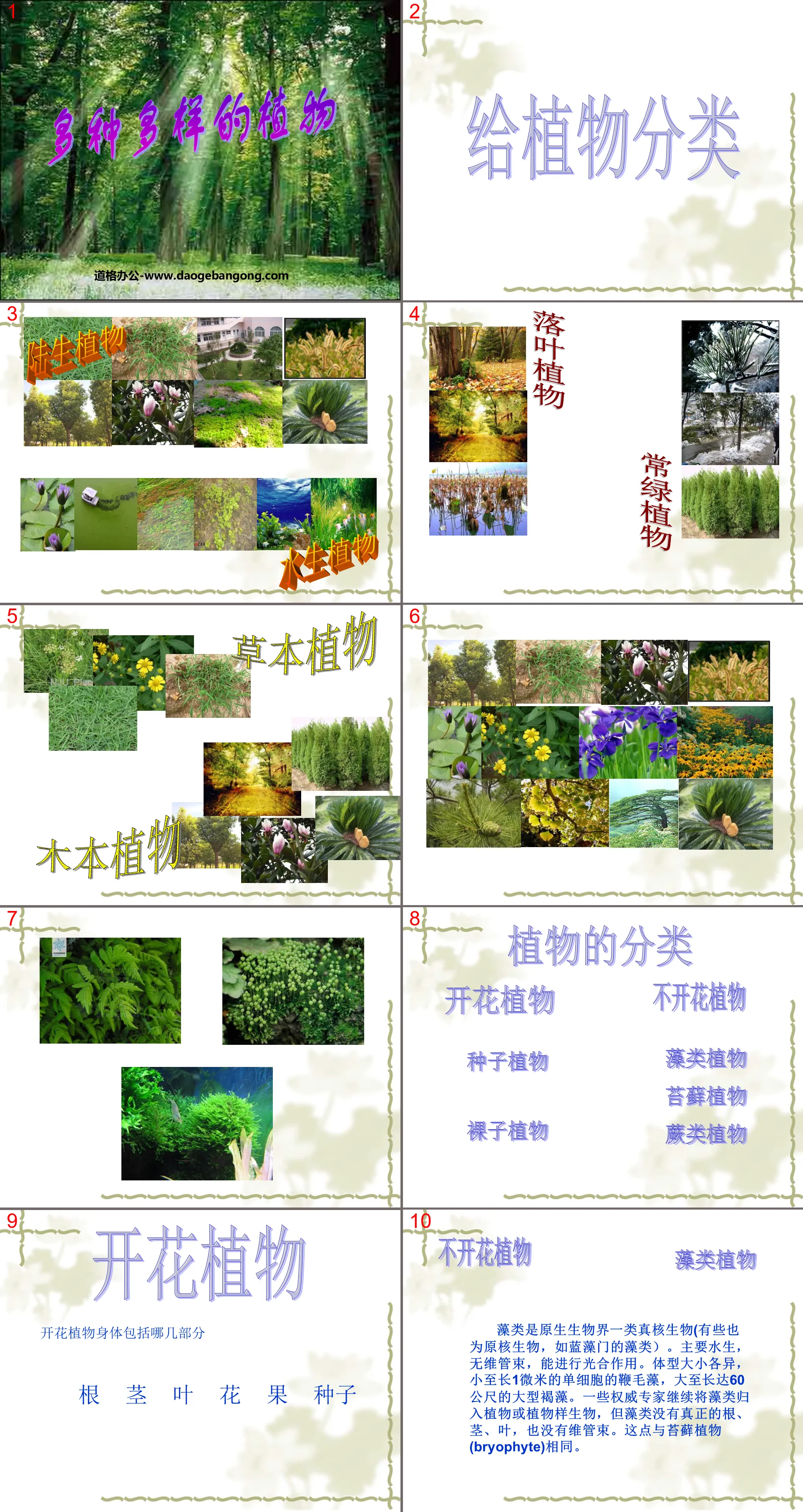 "Various Plants" Biological Diversity PPT Courseware 3