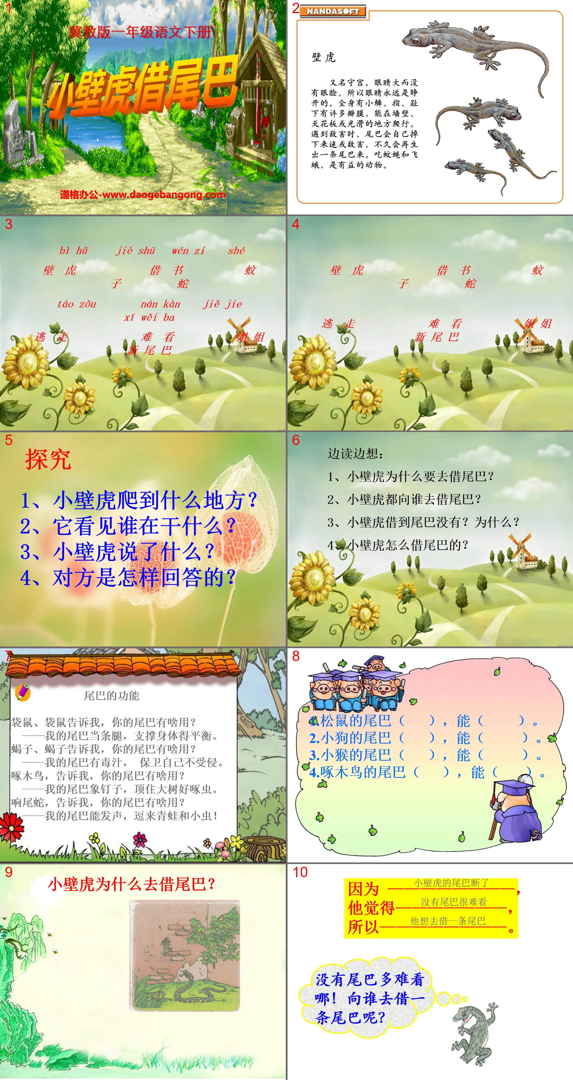 《小壁虎借尾巴》PPT课件12
