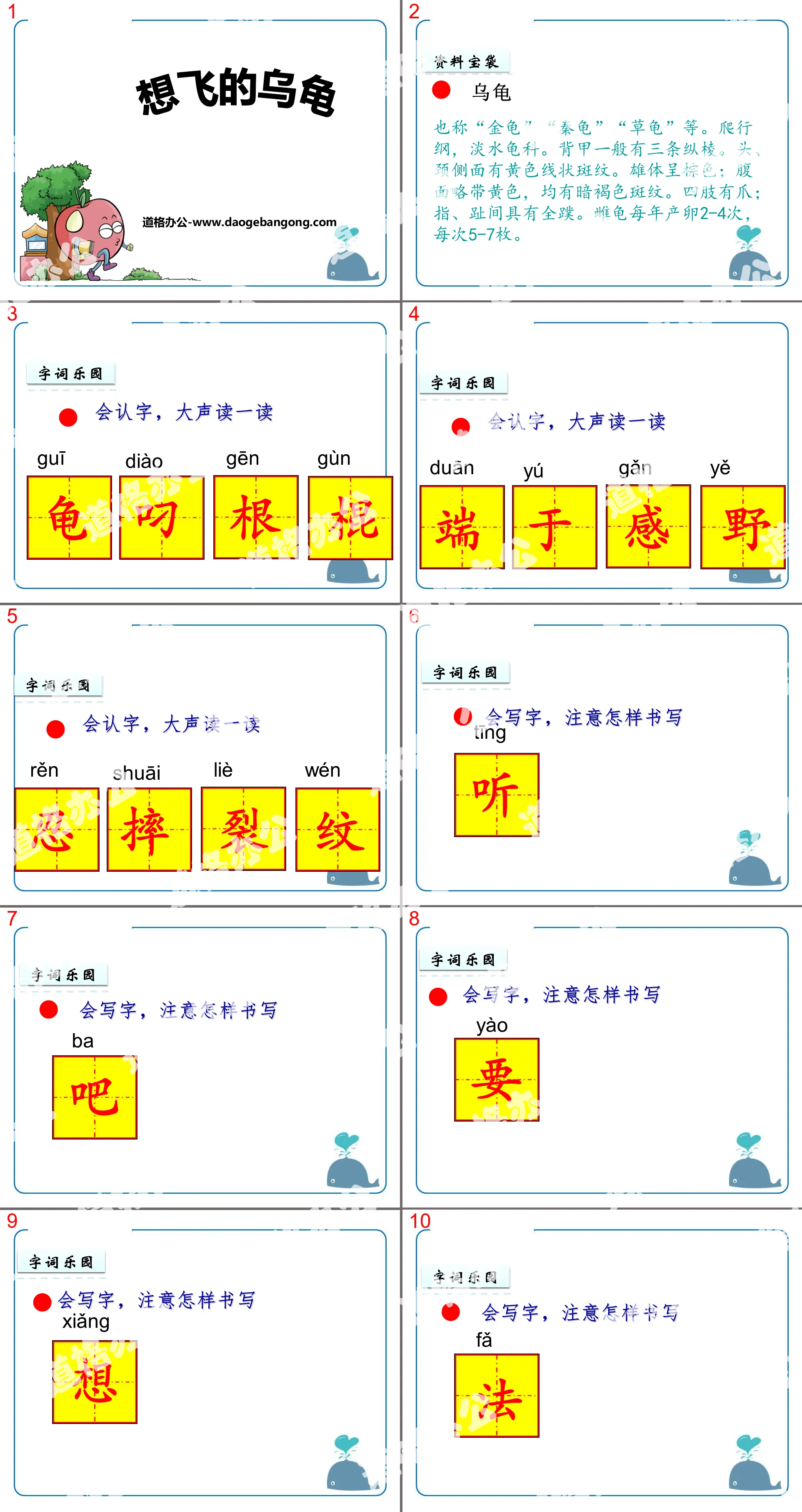 《想飞的乌龟》PPT下载