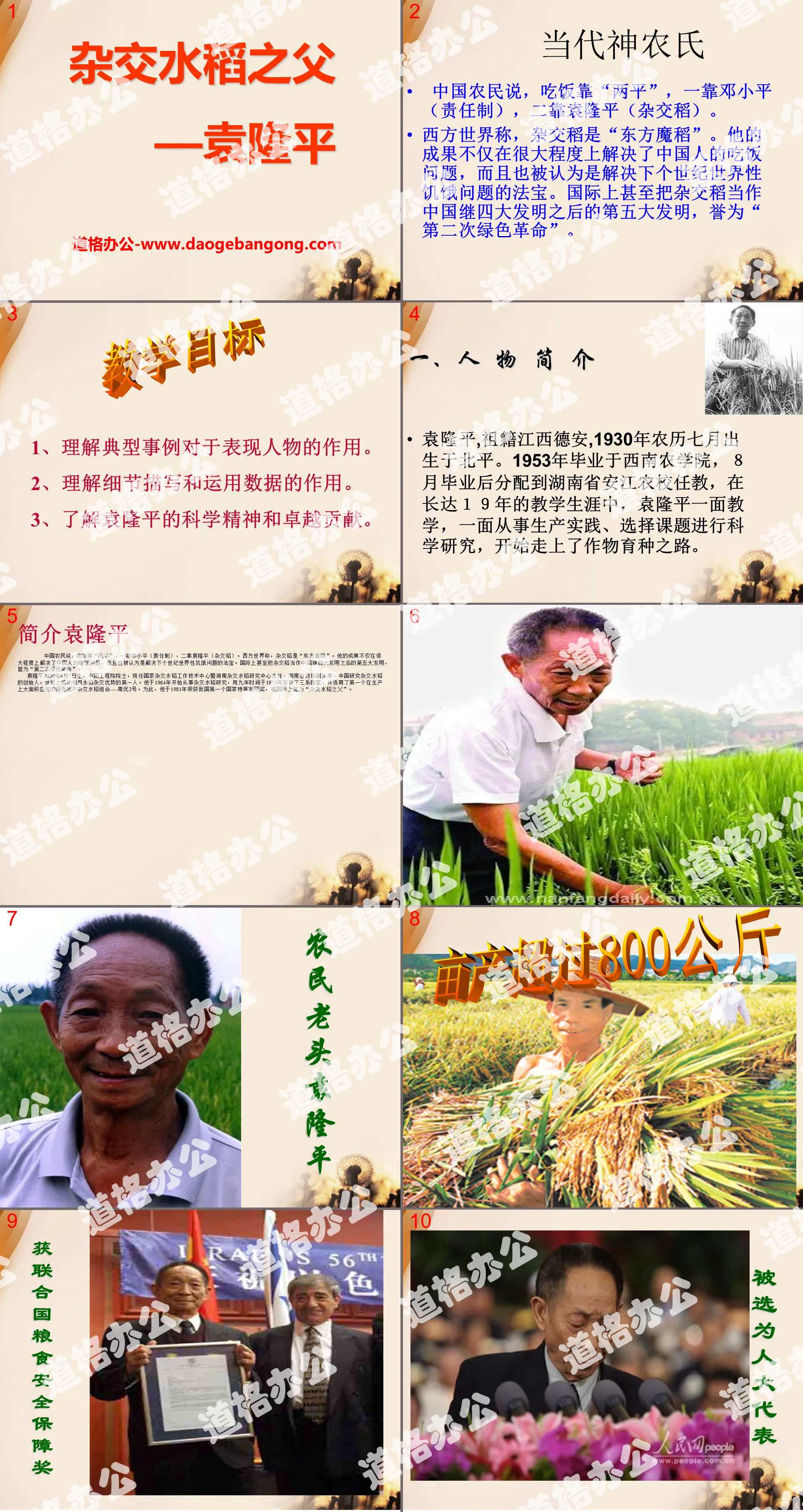 "The Father of Hybrid Rice--Yuan Longping" PPT courseware