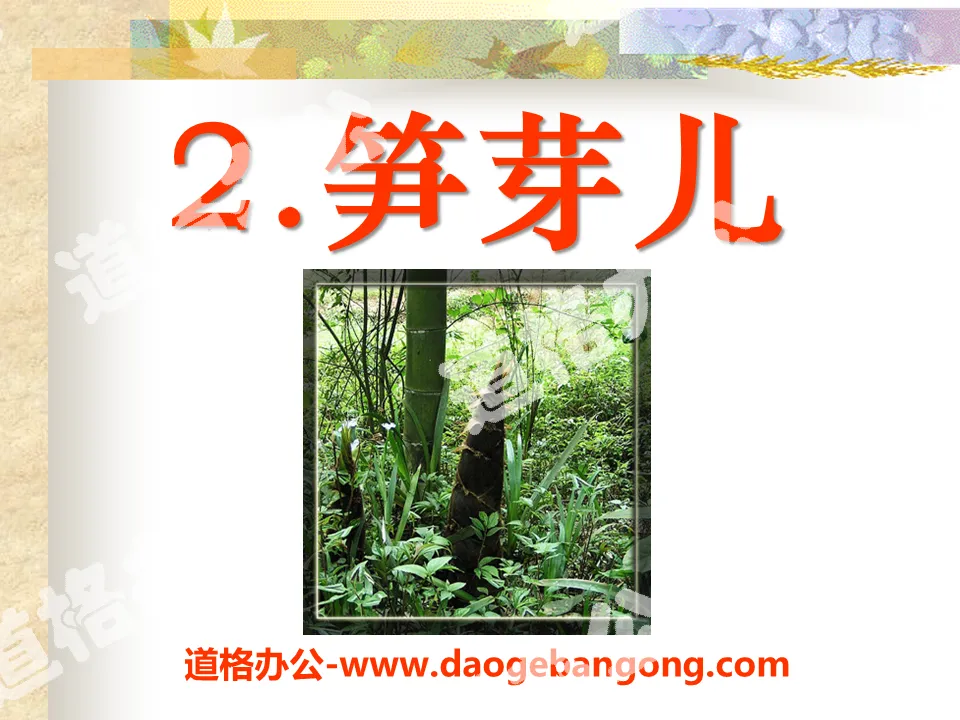 "Bamboo Shoots" PPT courseware 10